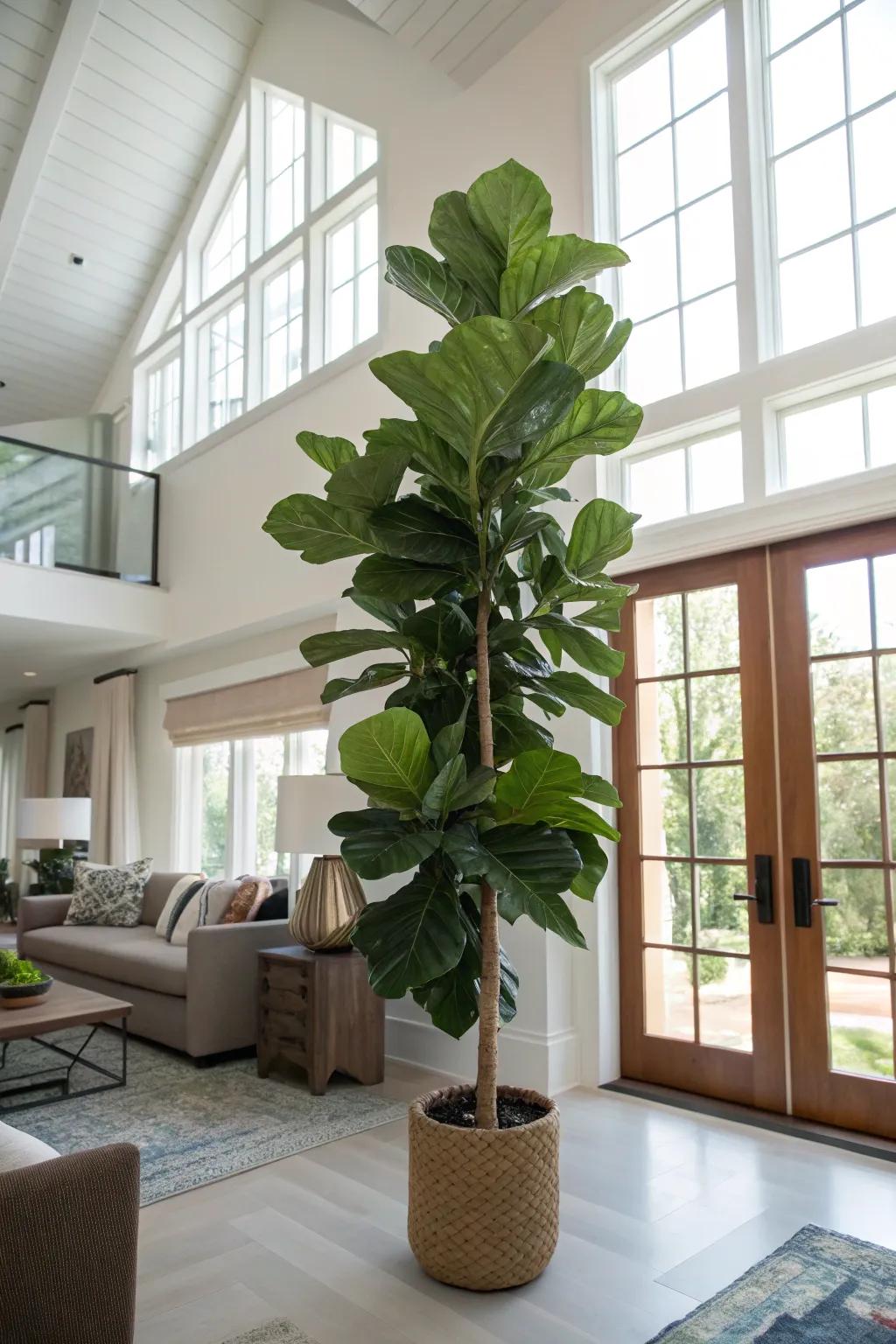 Towering plants accentuate the verticality of spaces and infuse an element of natural beauty.