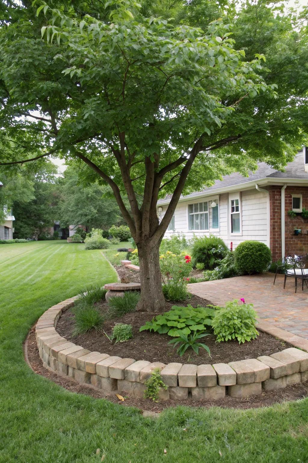 A tree featuring a delineated brick perimeter, begetting a sharp and structured aesthetic.
