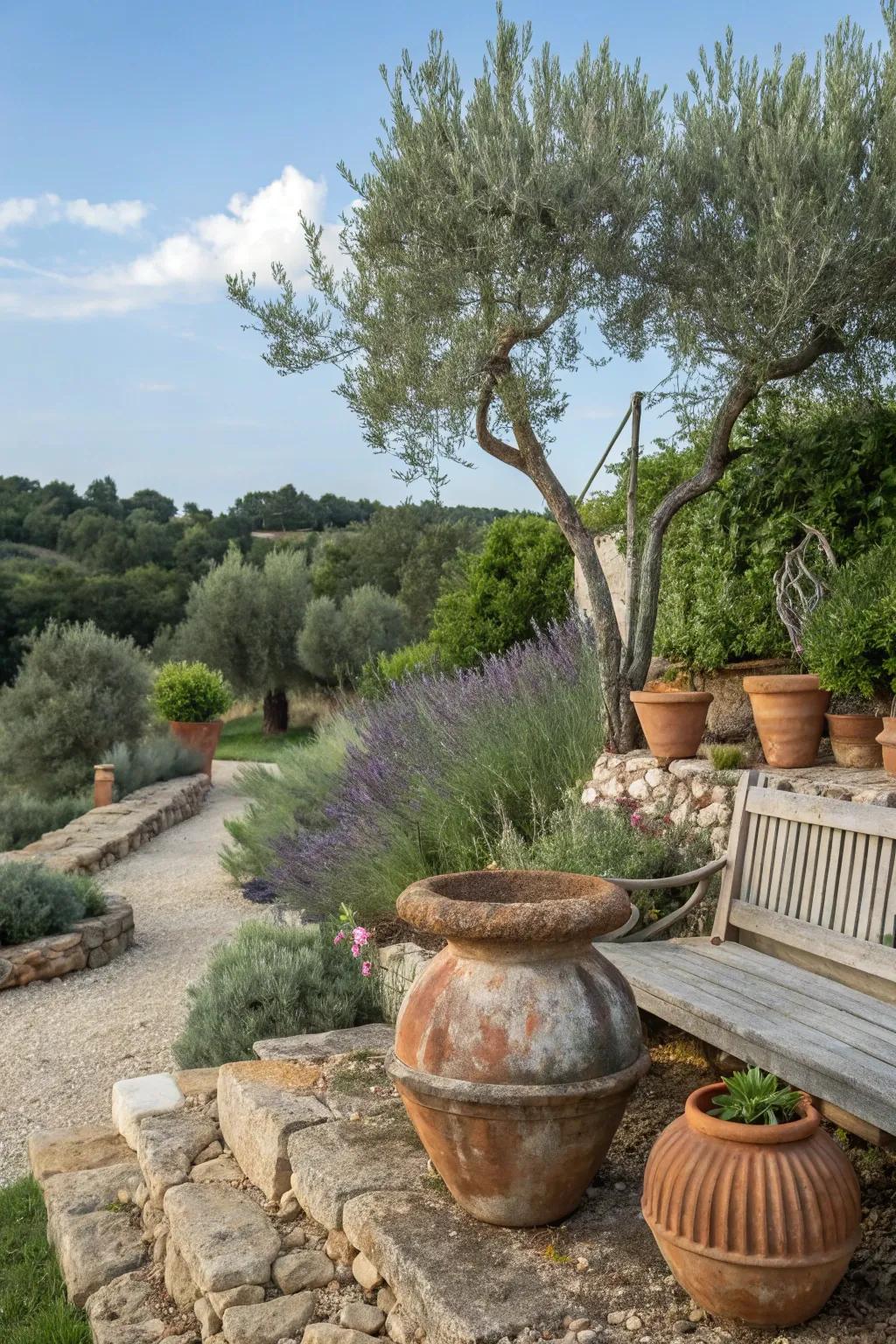 Introduce a hint of the Mediterranean into your garden using themed botanical pot arrangements.