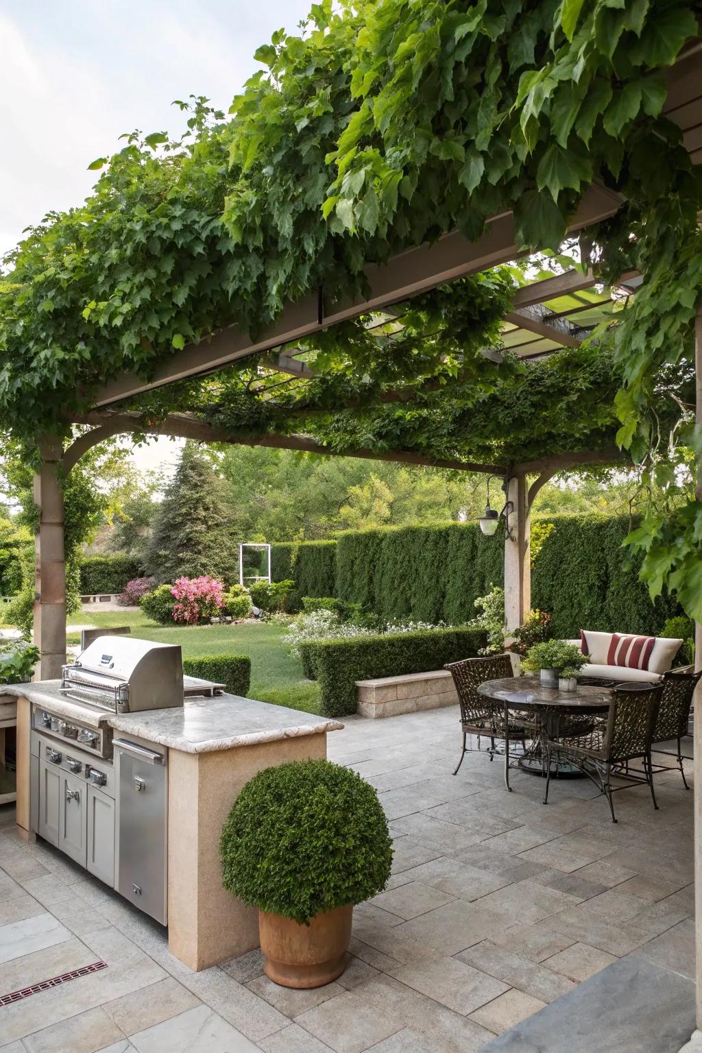Verdant sanctuary with a pergola enveloped in climbing vines.