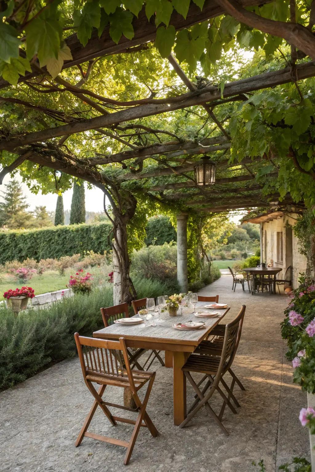 A dining area beneath a charming garden arbor with verdant foliage.