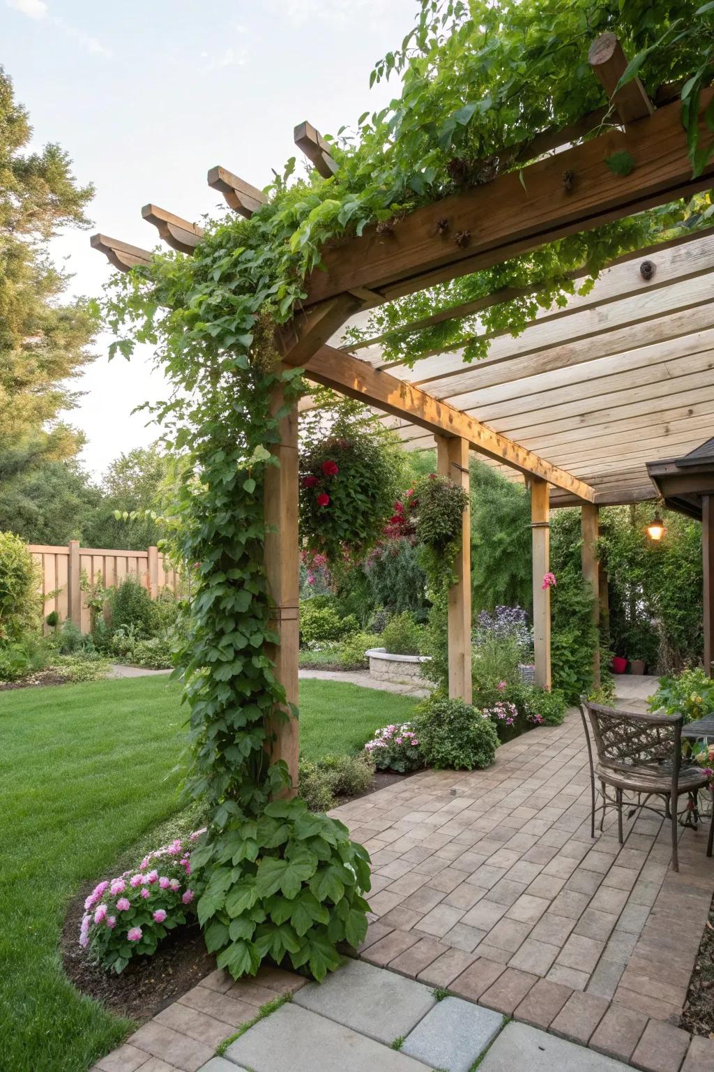 A pergola enhanced with climbing plants provides a shaded sanctuary.