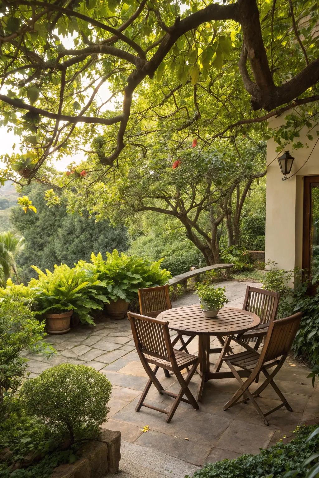 A peaceful patio nestled amidst thriving trees and greenery.