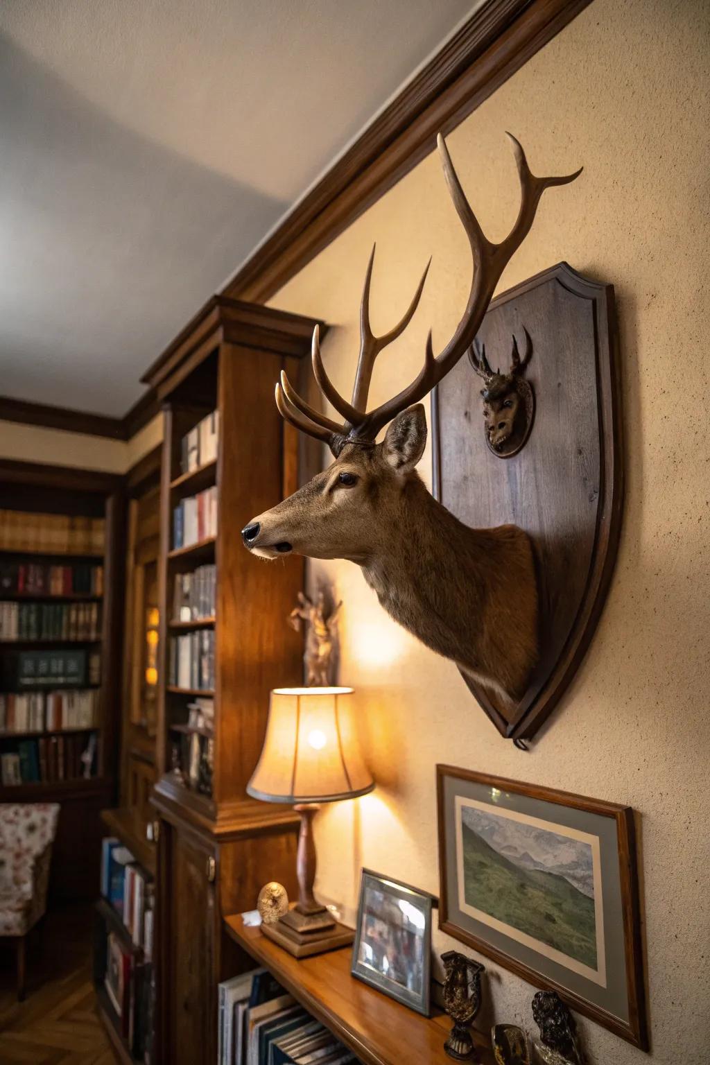 Deer antlers displayed on an antique plate bring a sense of historical charm to a comfortable study.