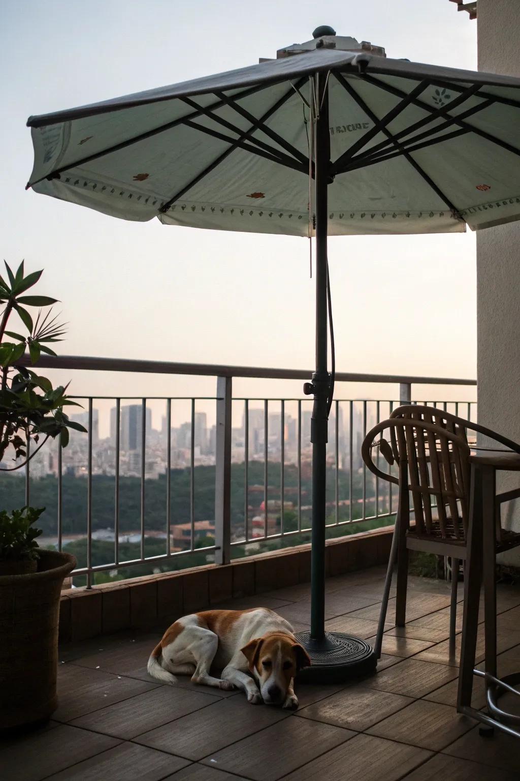 Sheltered zones allow dogs to remain cool and comfortable.