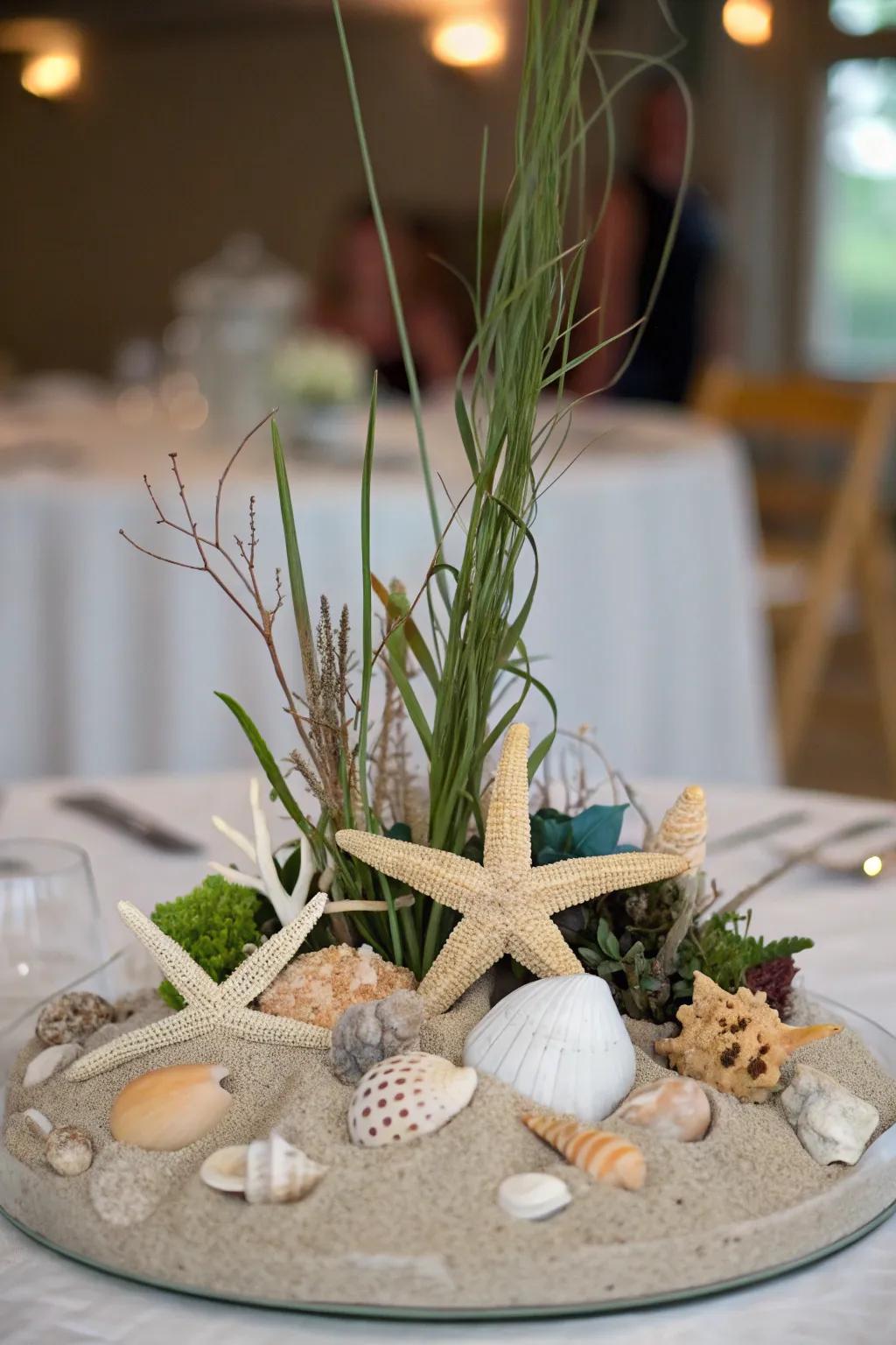 Ocean shells and aquatic stars give your décor a sea feel.