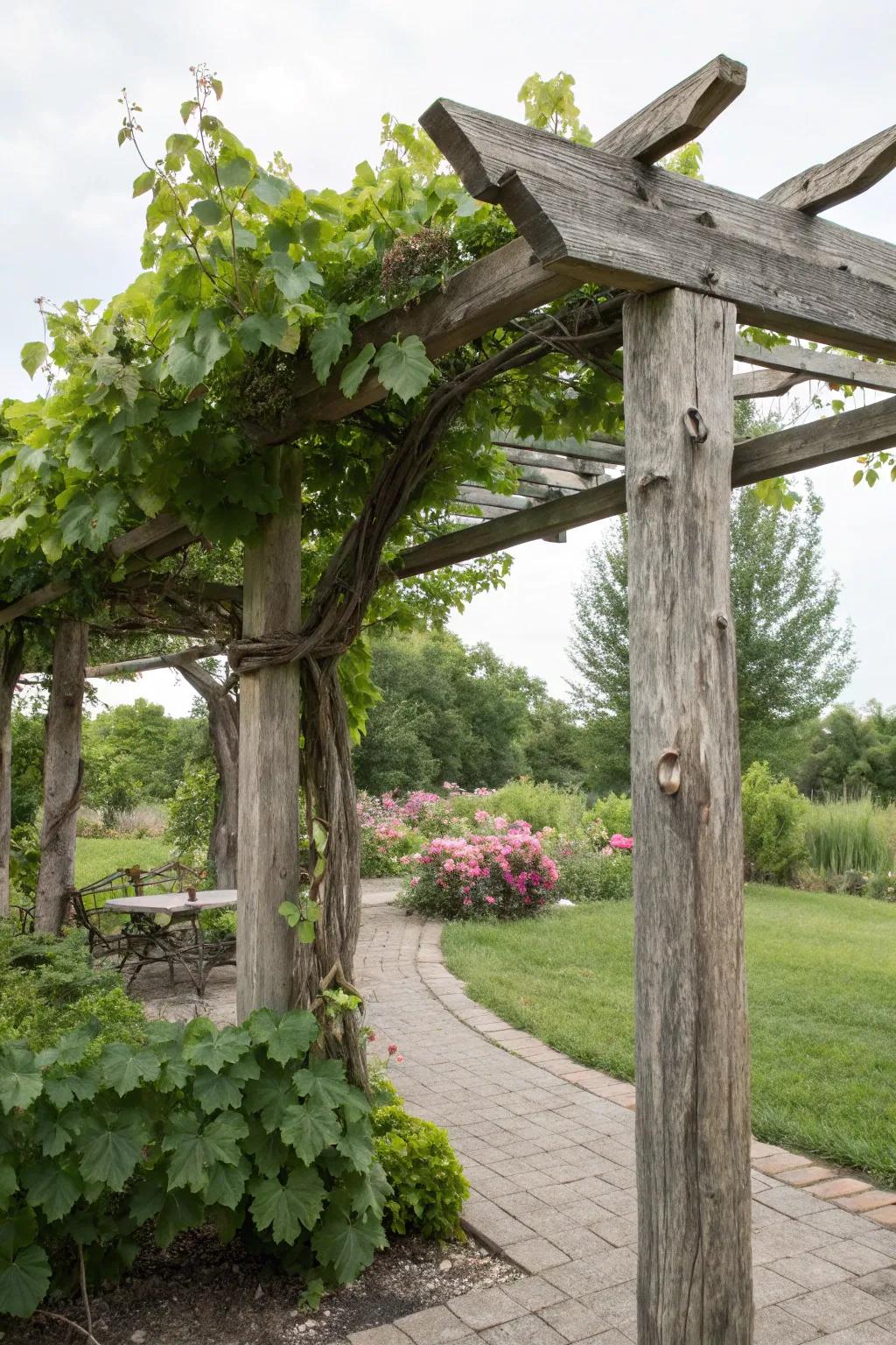 A delightful handmade country lumber arbor overflowing with character.