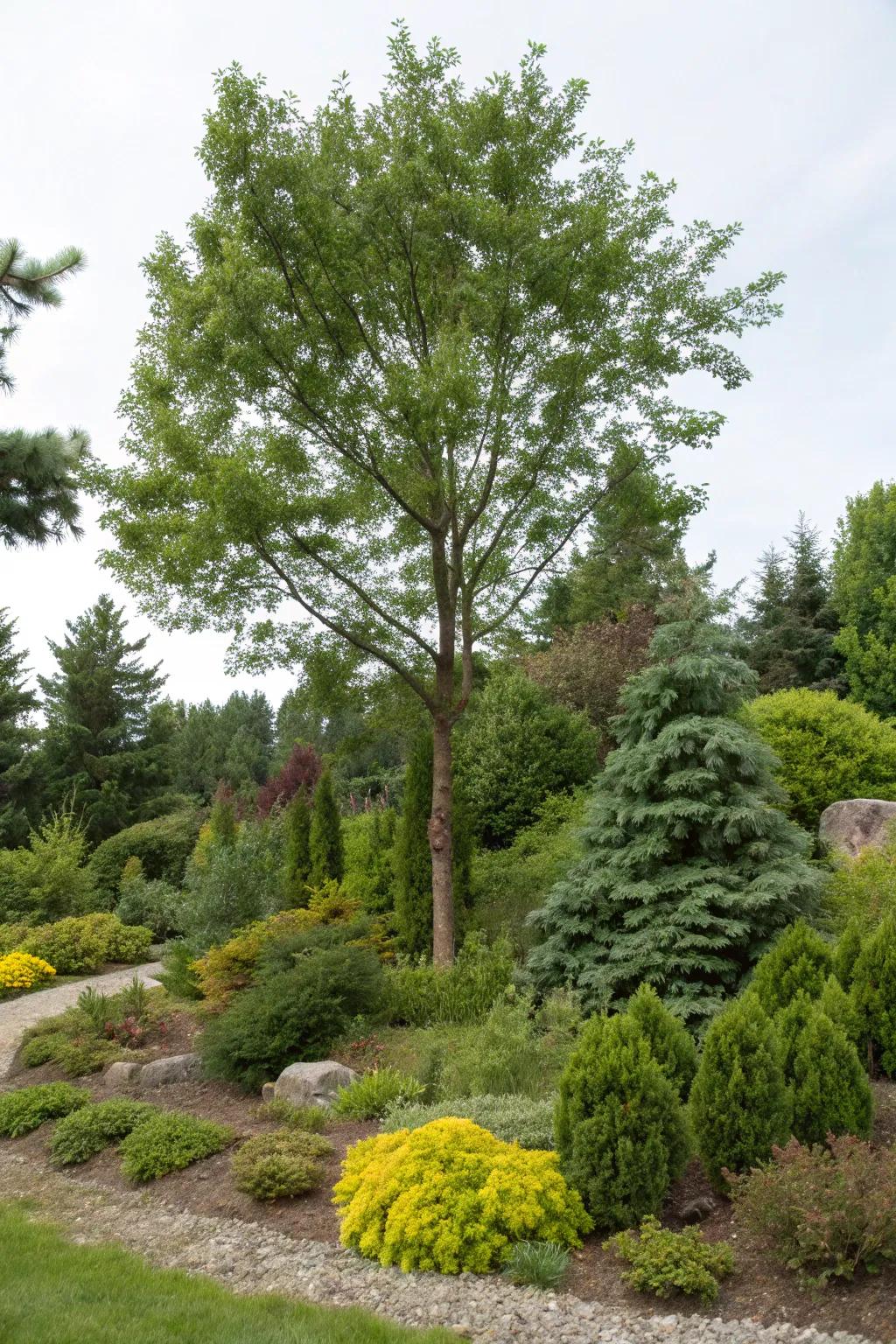 Perennial greens and bushes provide year-round allure around trees.