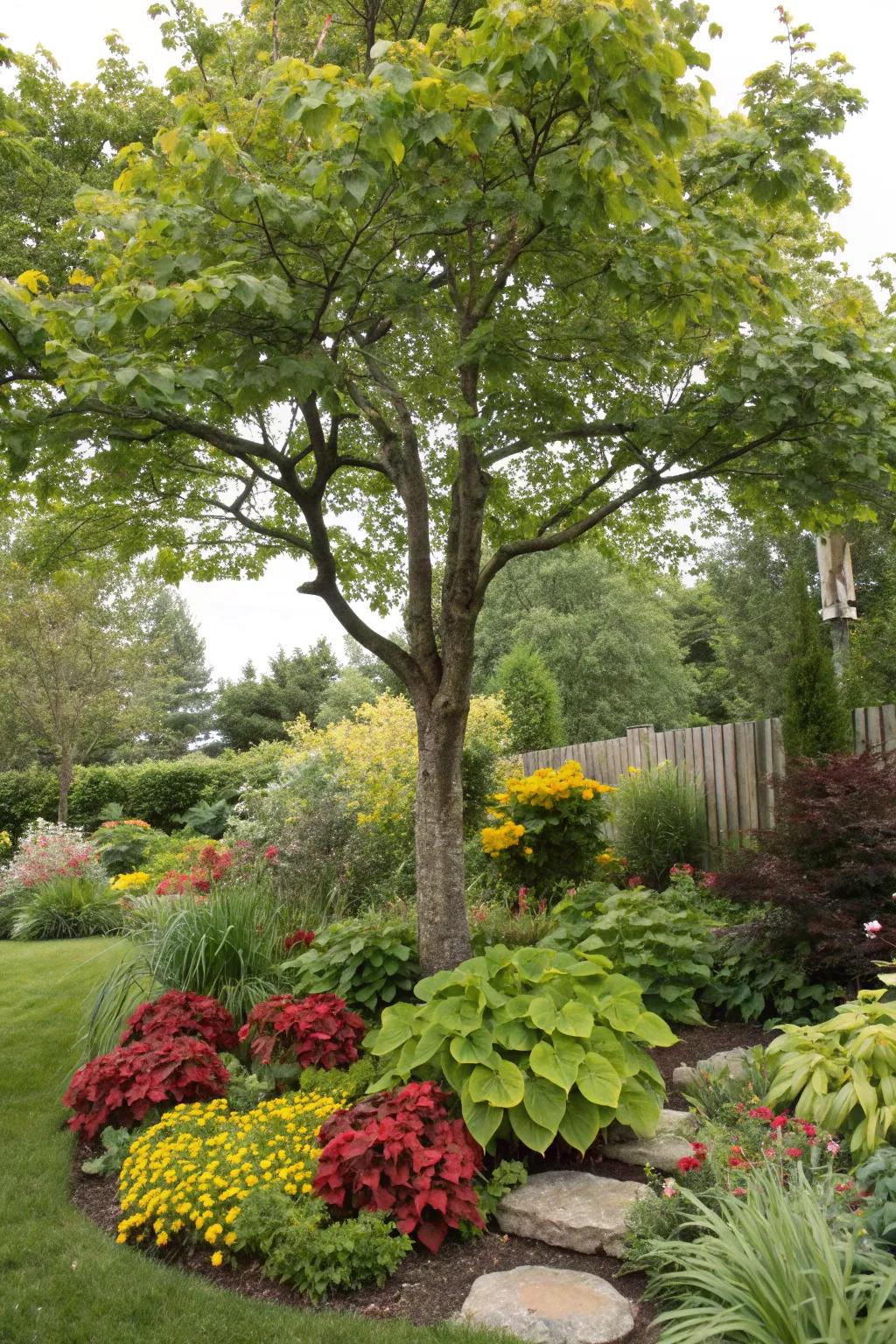 A tree girdled by a motley blend of plants, introducing texture and tint to the garden.