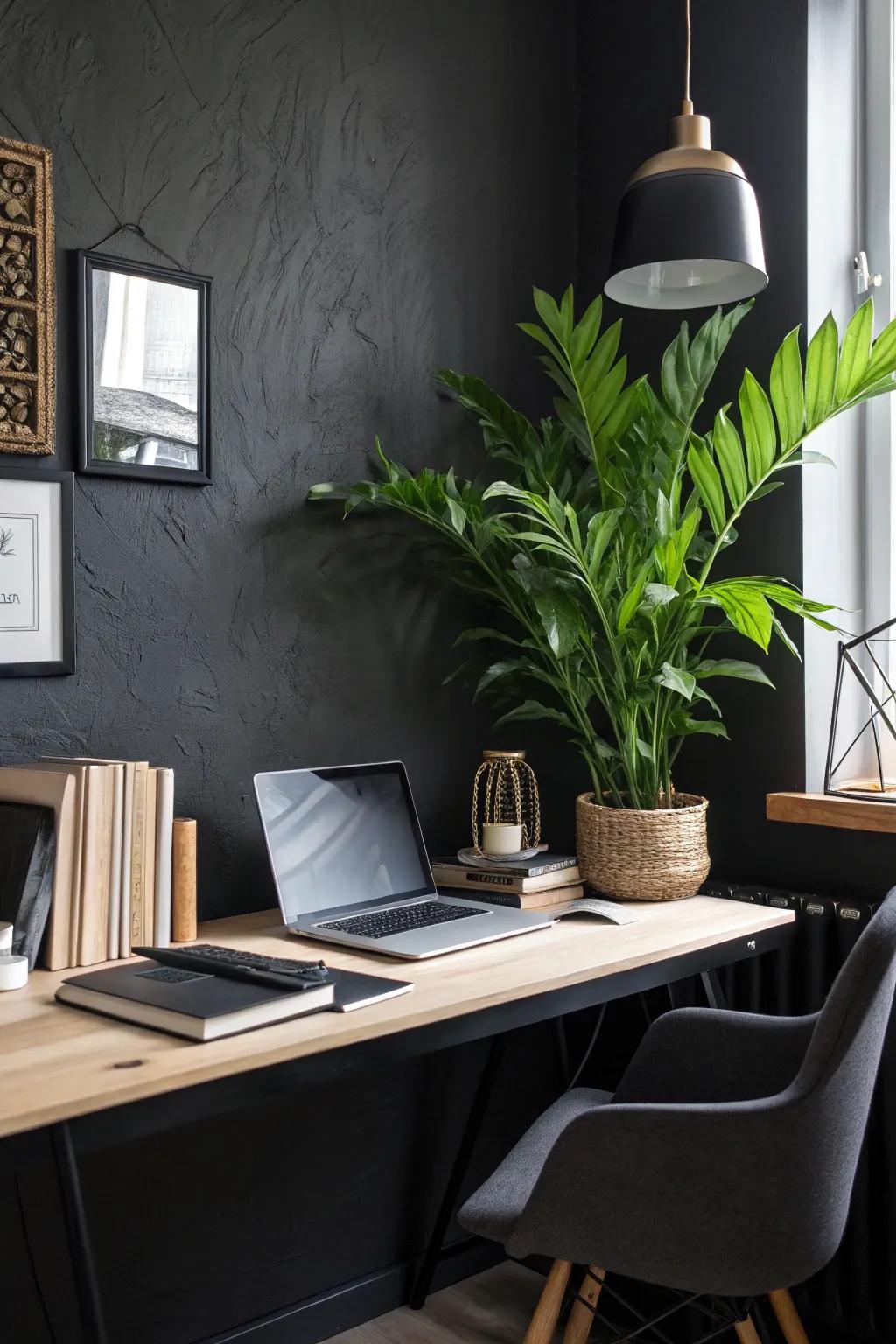 A pop of vegetation brightens this atmospheric office environment.