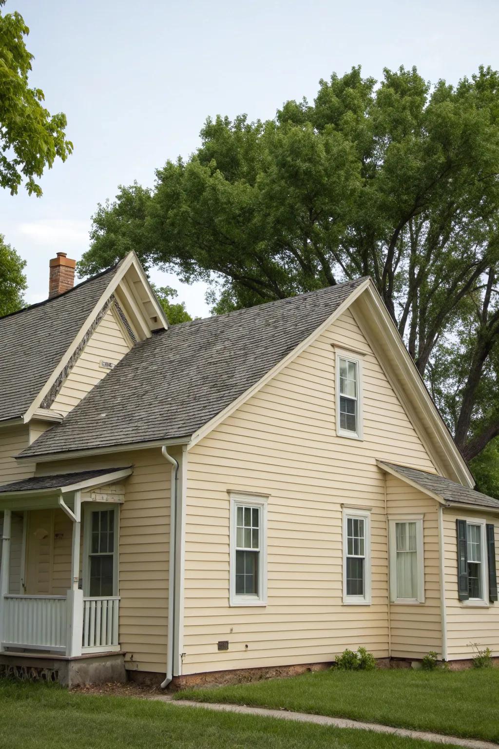 Classic ranch styles offer timeless appeal with familiar rooflines.