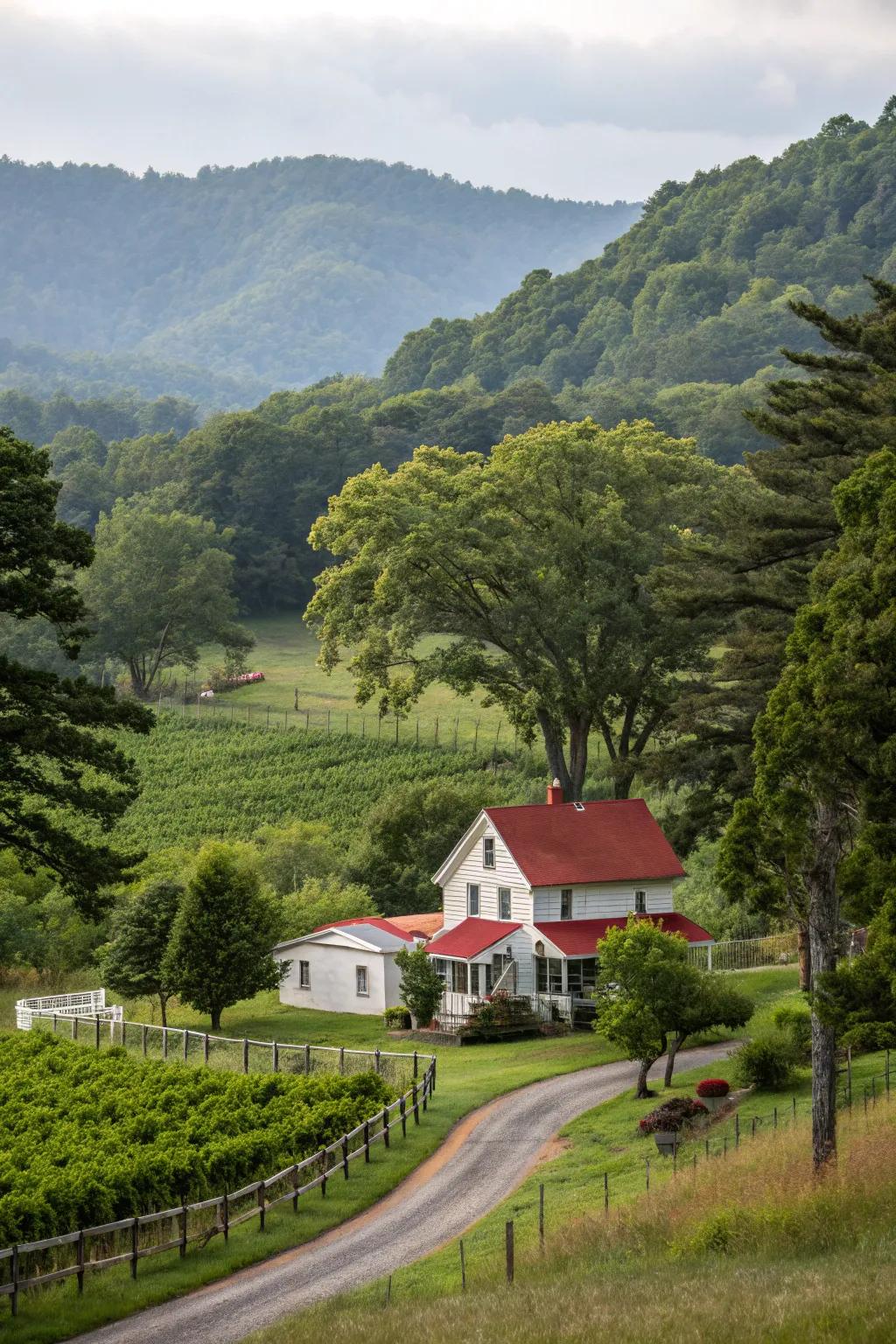 Established trees delivering shade and structure to the landscape.