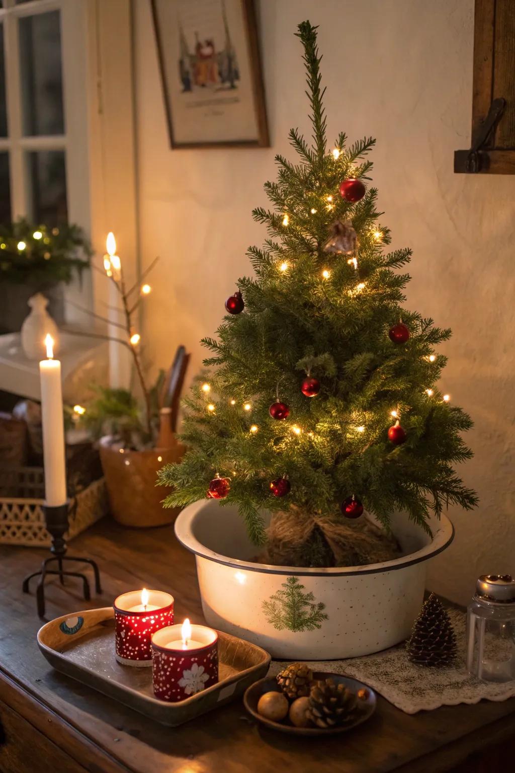 A sentimental tabletop tree arranged in an aged enameled metal container.