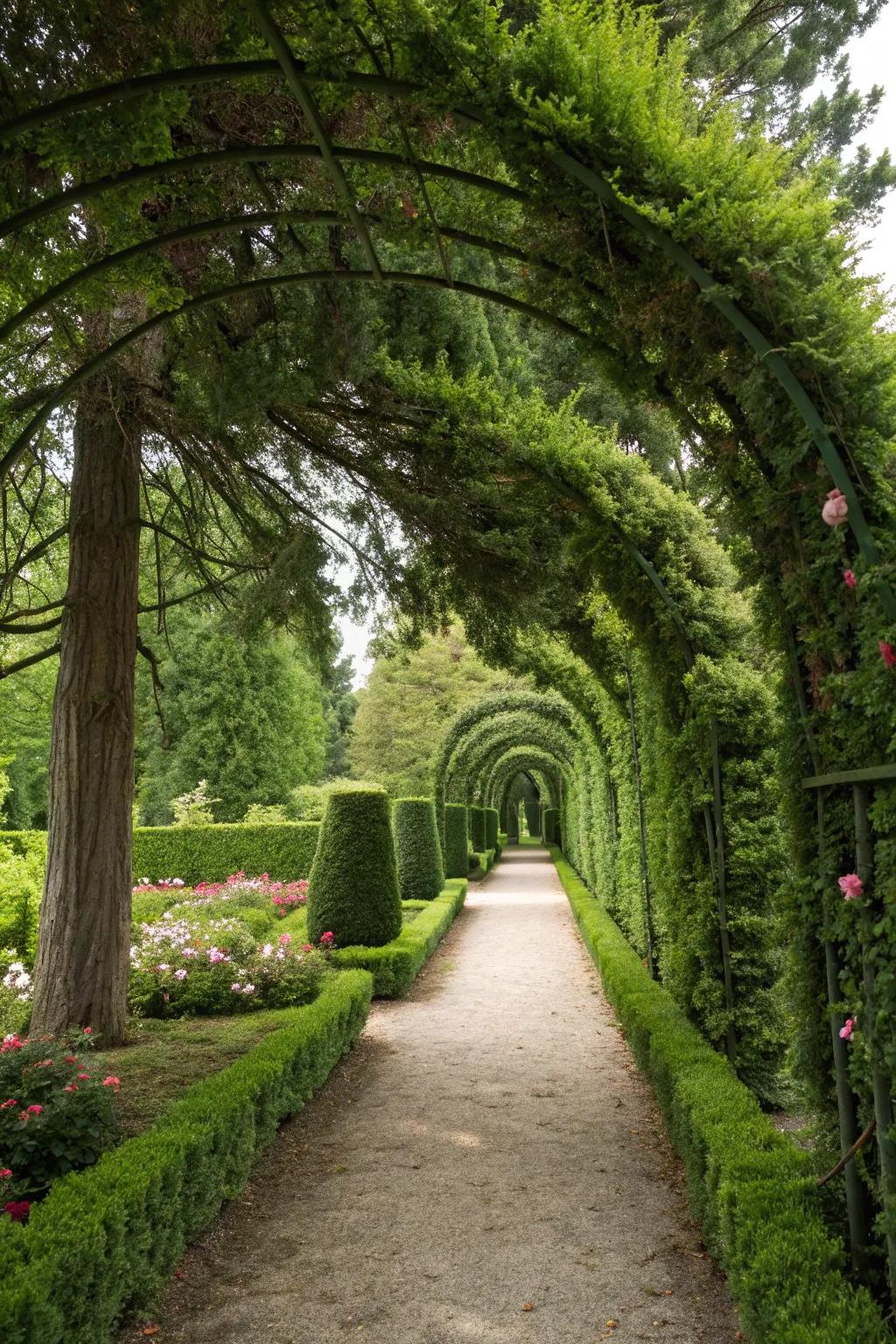 Welcome guests with a magnificent green archway of Evergreens.