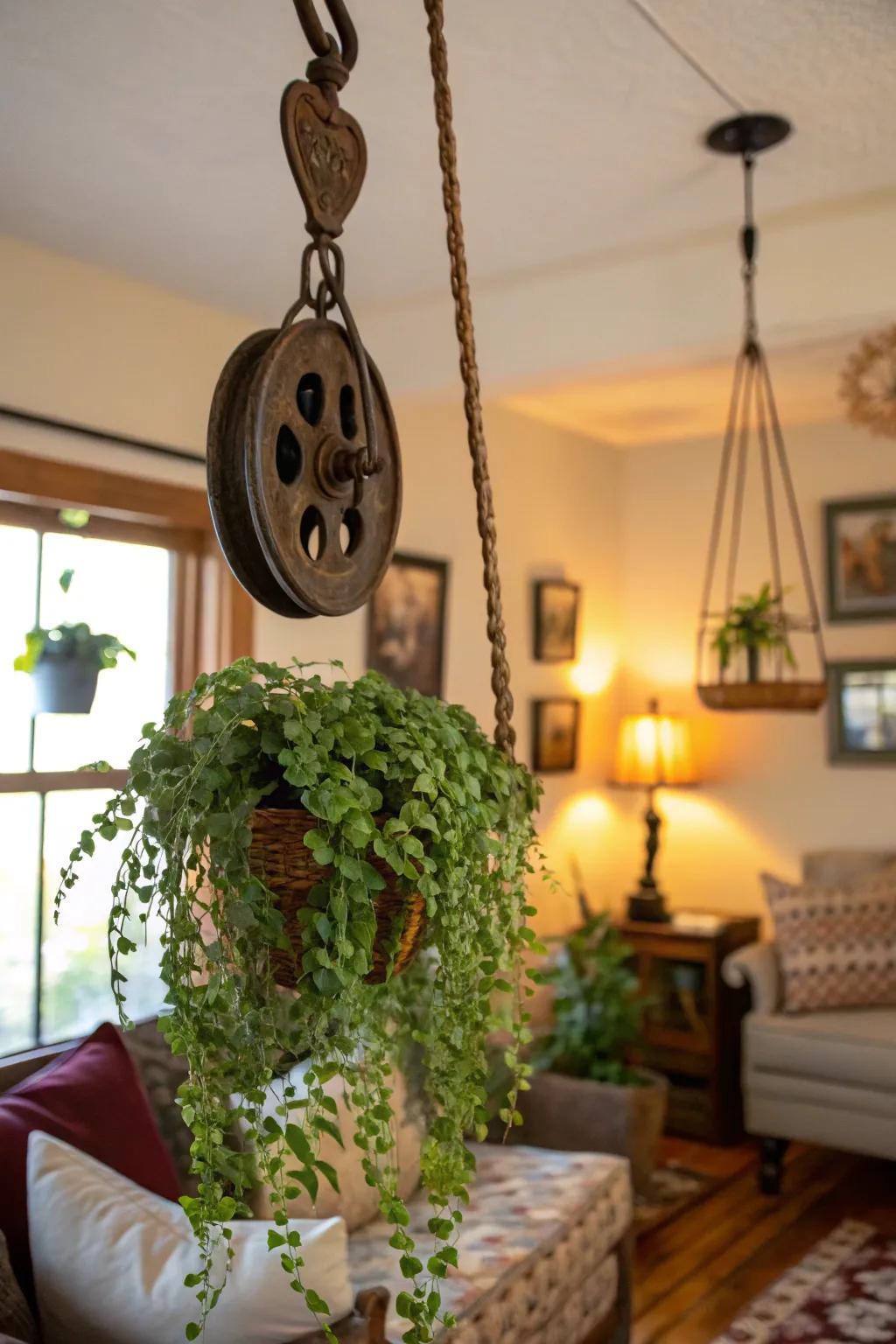 Elevate your verdant arrangement with a pulley-assisted plant suspension.