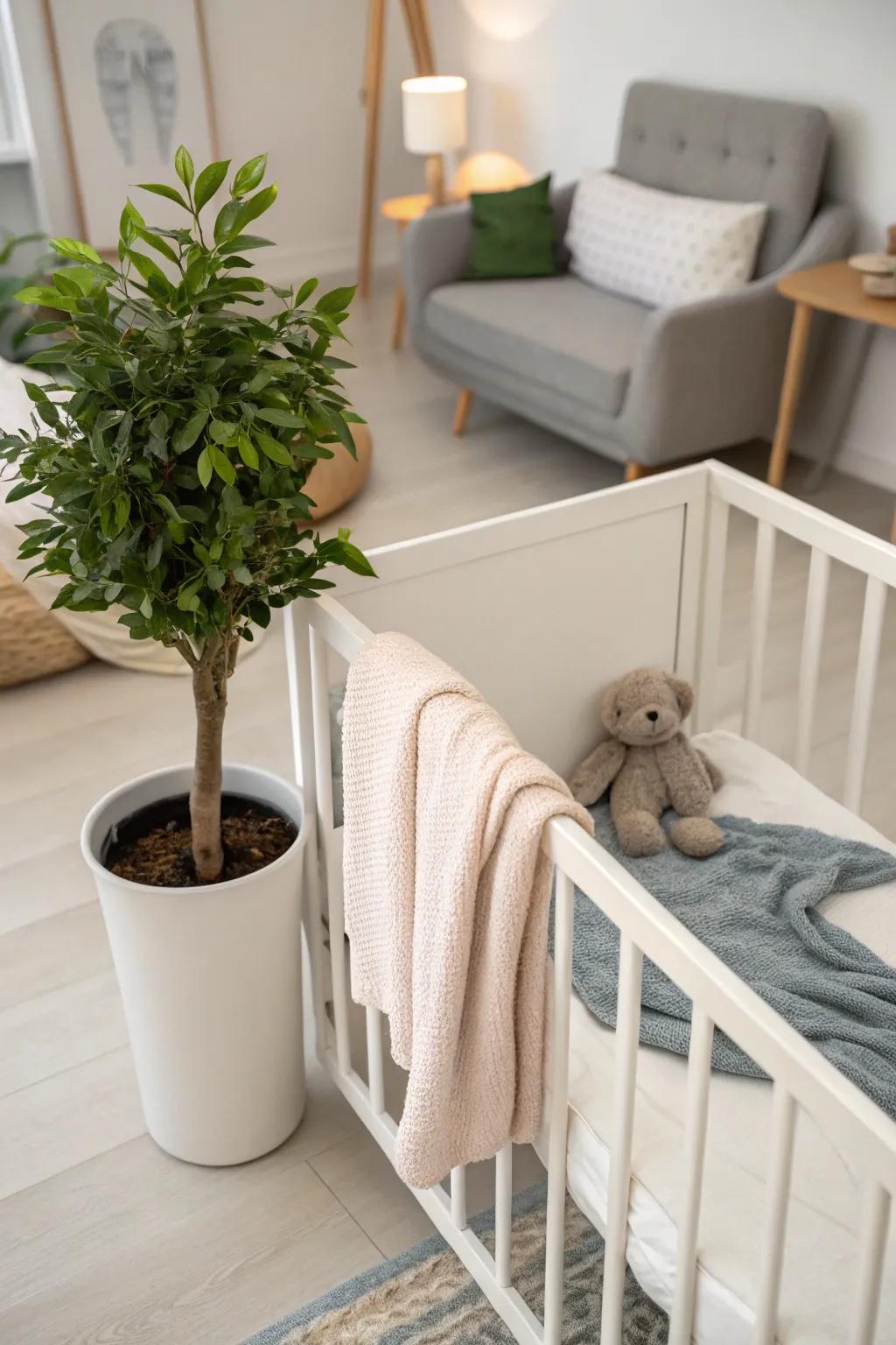 Adding greenery can freshen your baby area, adding natural beauty and serenity.