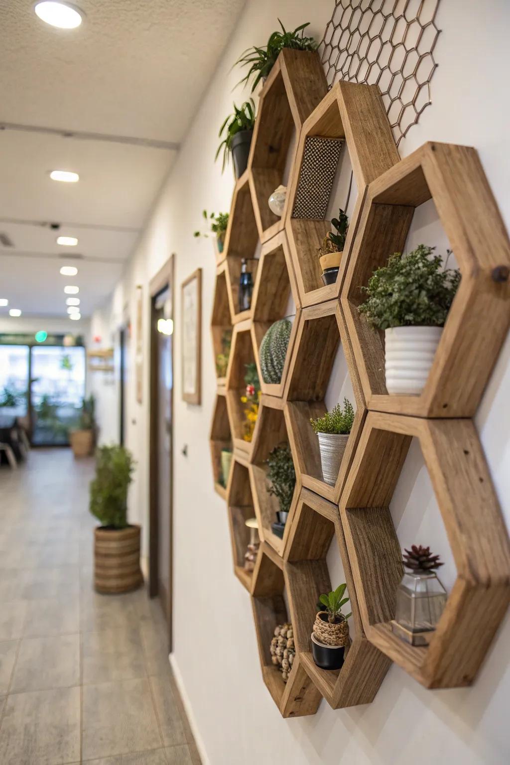 Honeycomb divider art incorporates visual intrigue and capacity.
