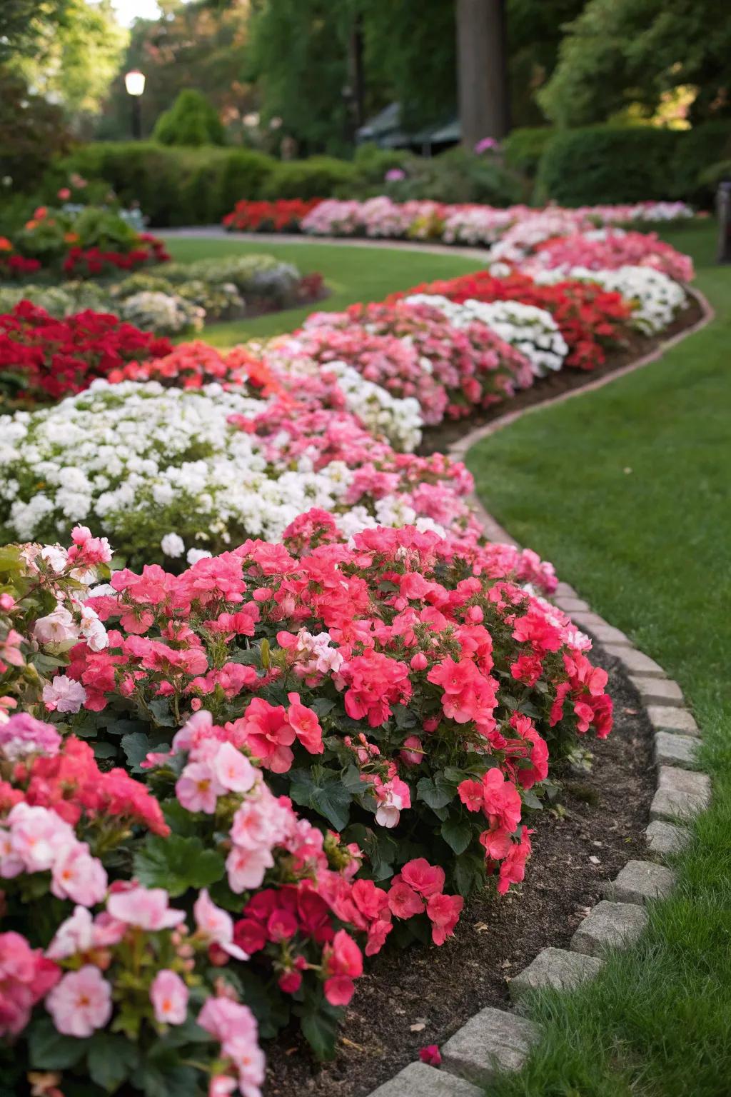 Bloom buds make an outstanding colorful earth blanket.