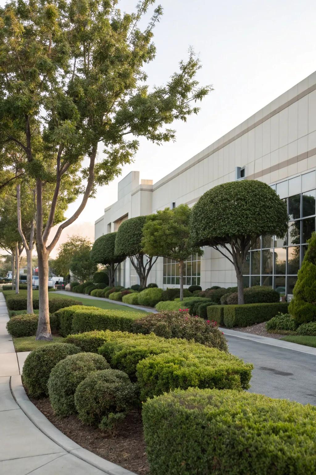 Trees and shrubs give landscapes shape and class.