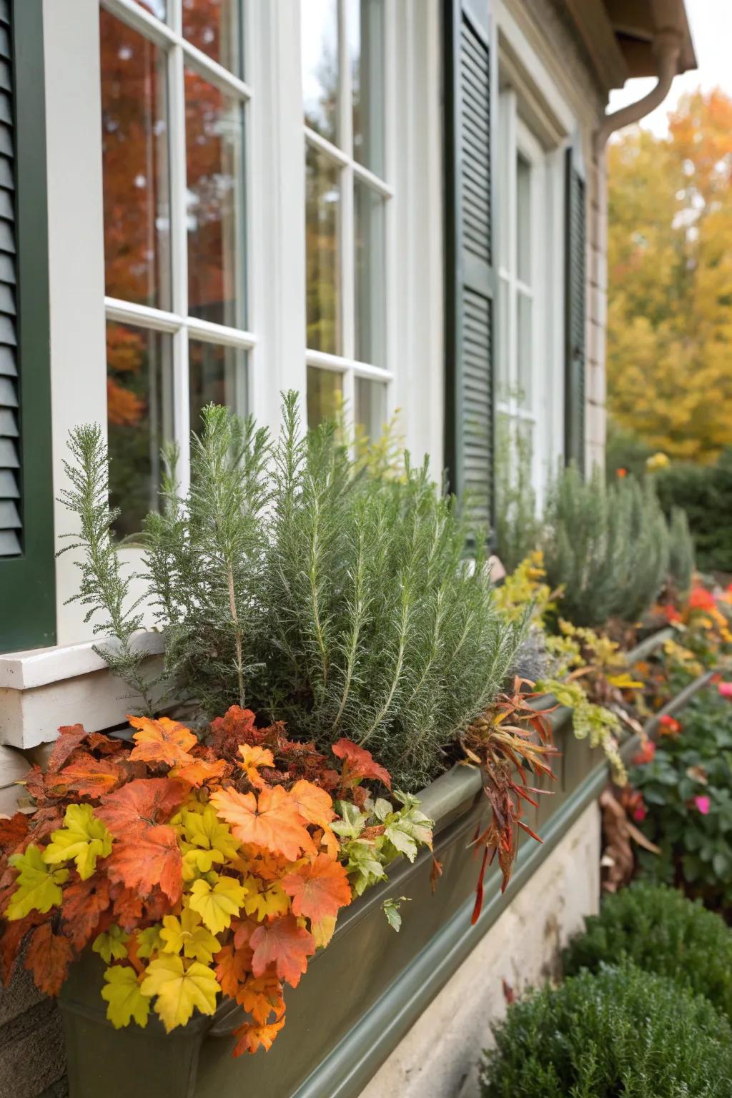 Herbs like rosemary add fragrance and greenery.