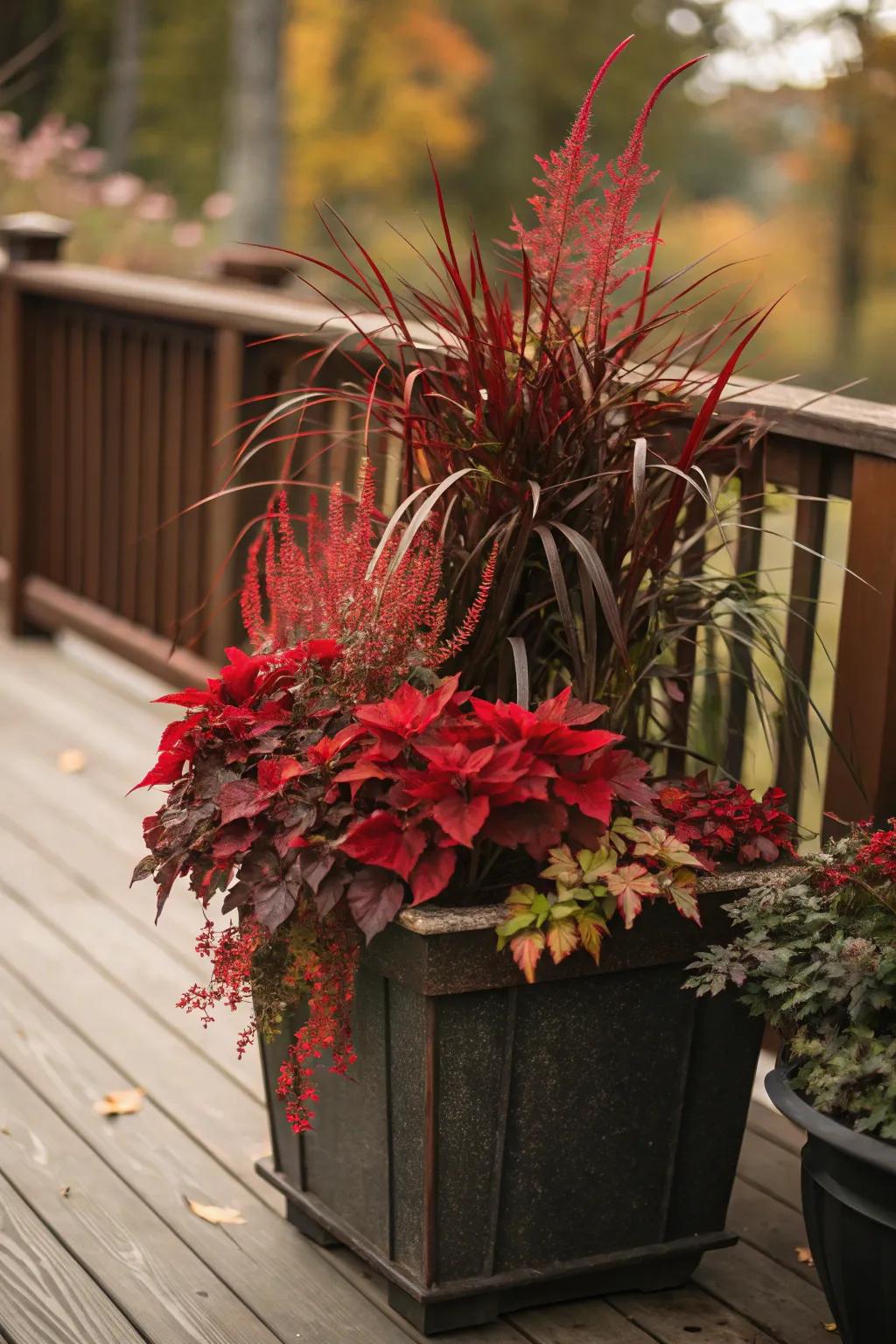 Uniform containers offer a modern fall aesthetic.