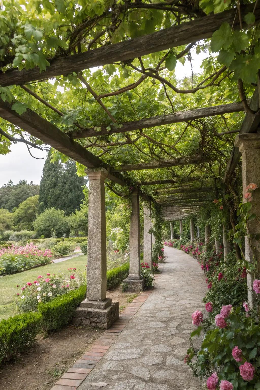 An overhead trellis provides shade and a beautiful garden feature.