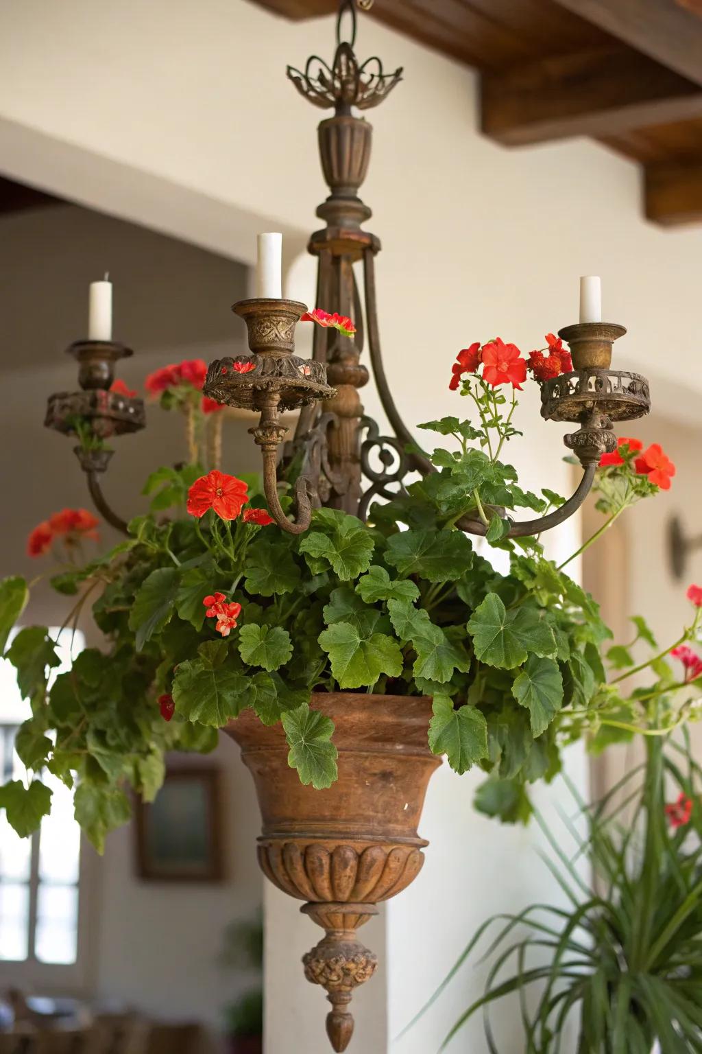Elegance converges with ingenuity in this candelabra planter.