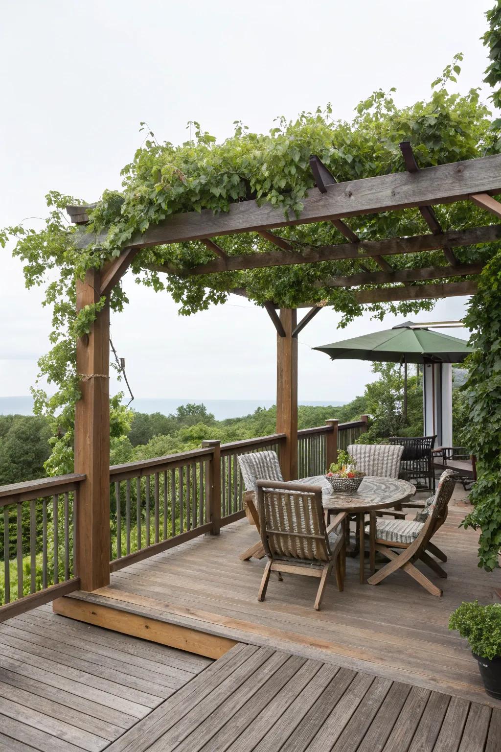 A deck with a pergola, offering shade and visual interest.