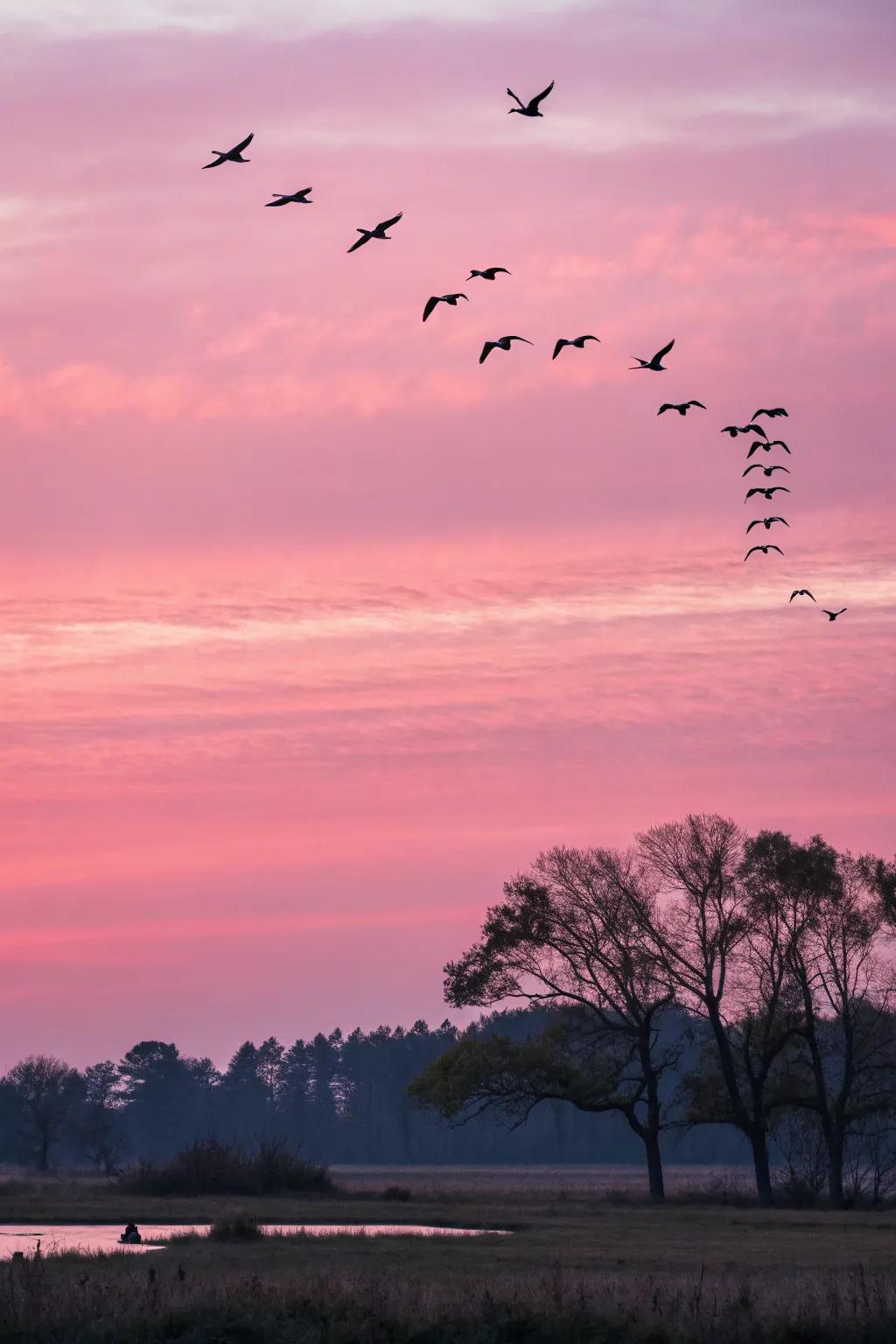Striking illustration that features fowls soaring above the rouge skies.