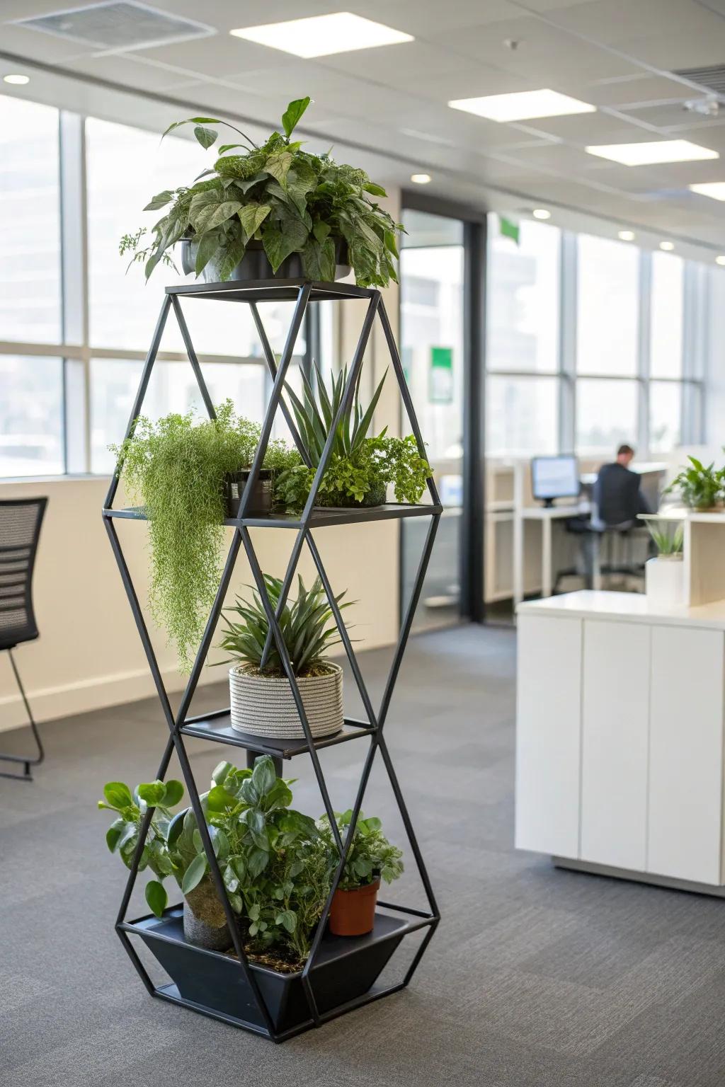 Add architectural interest with shaped botanical platforms.