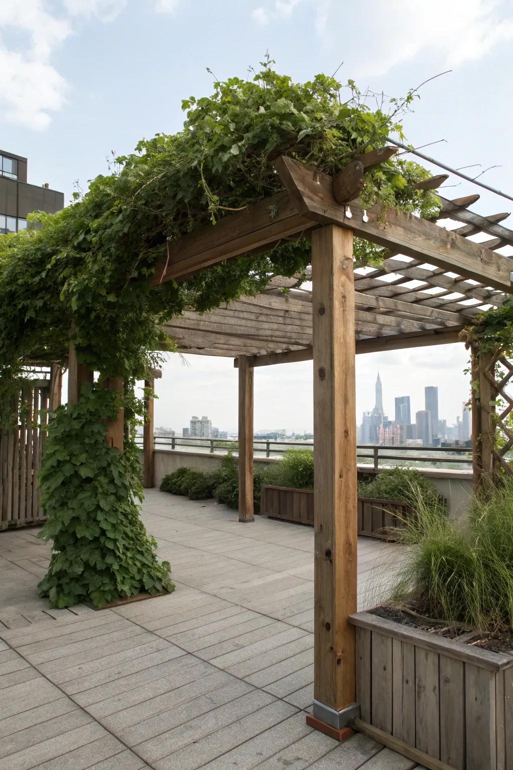 A garden trellis delivers both shade and style to your rooftop.