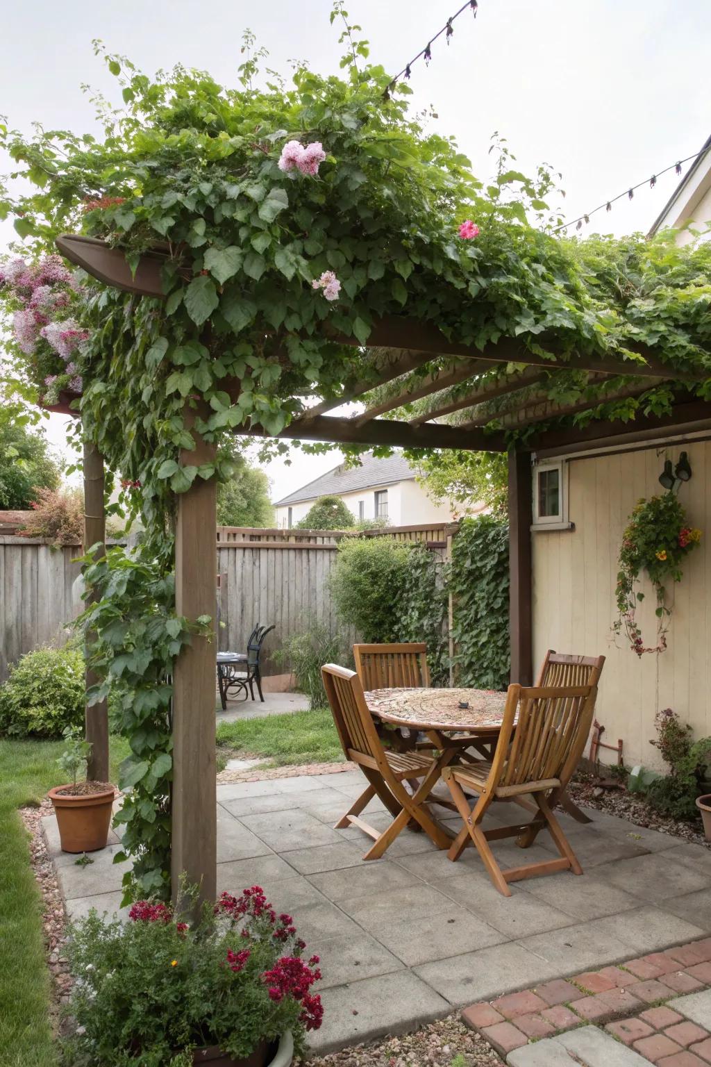 A pergola offers a shaded haven in the heat of the day.