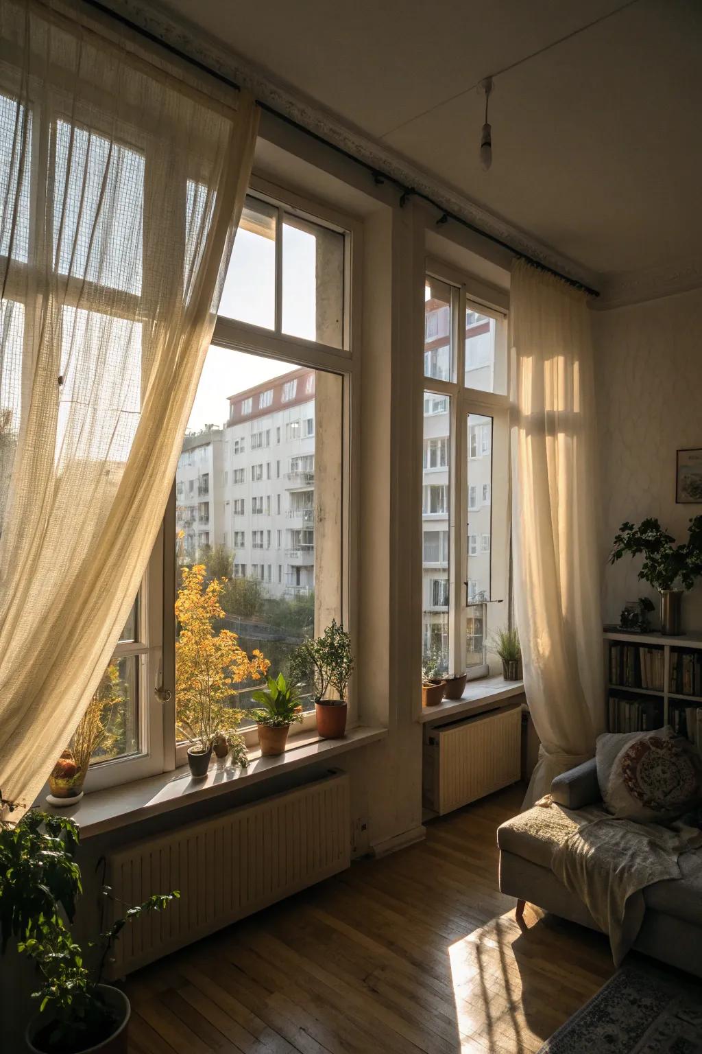 Natural light can make your apartment feel brighter and bigger.