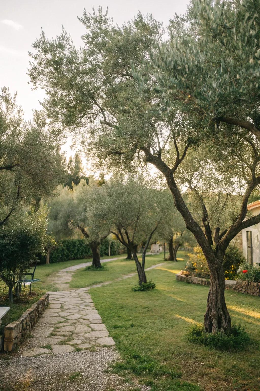 Establish a serene space with a harmonious copse of trees.