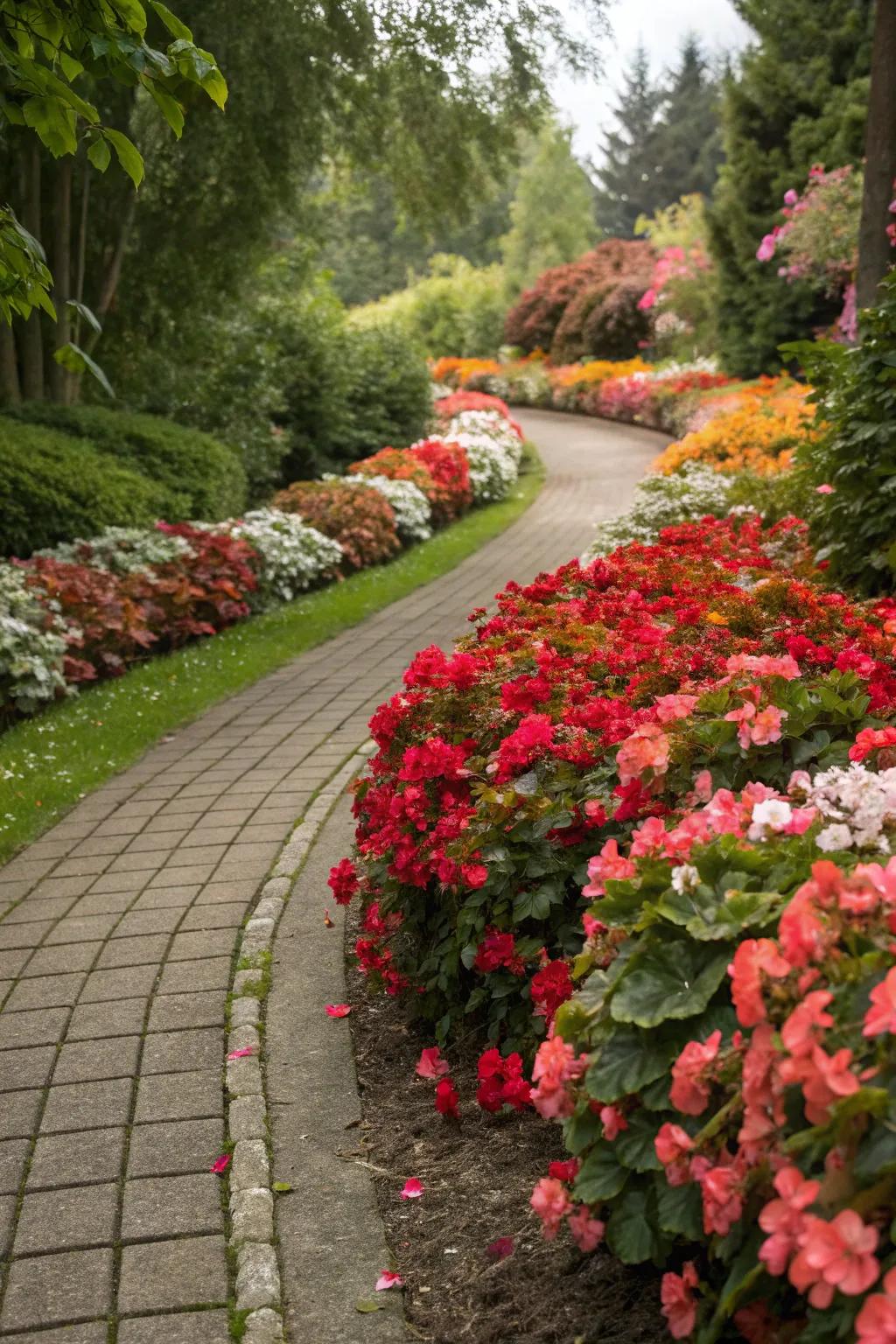 Plant-lined walkways impart construction and appeal.