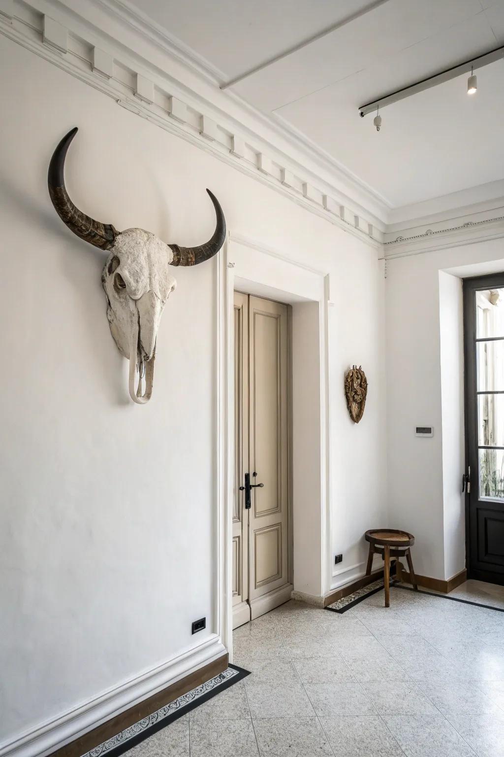 Minimalist decor with a monochromatic bull skull.