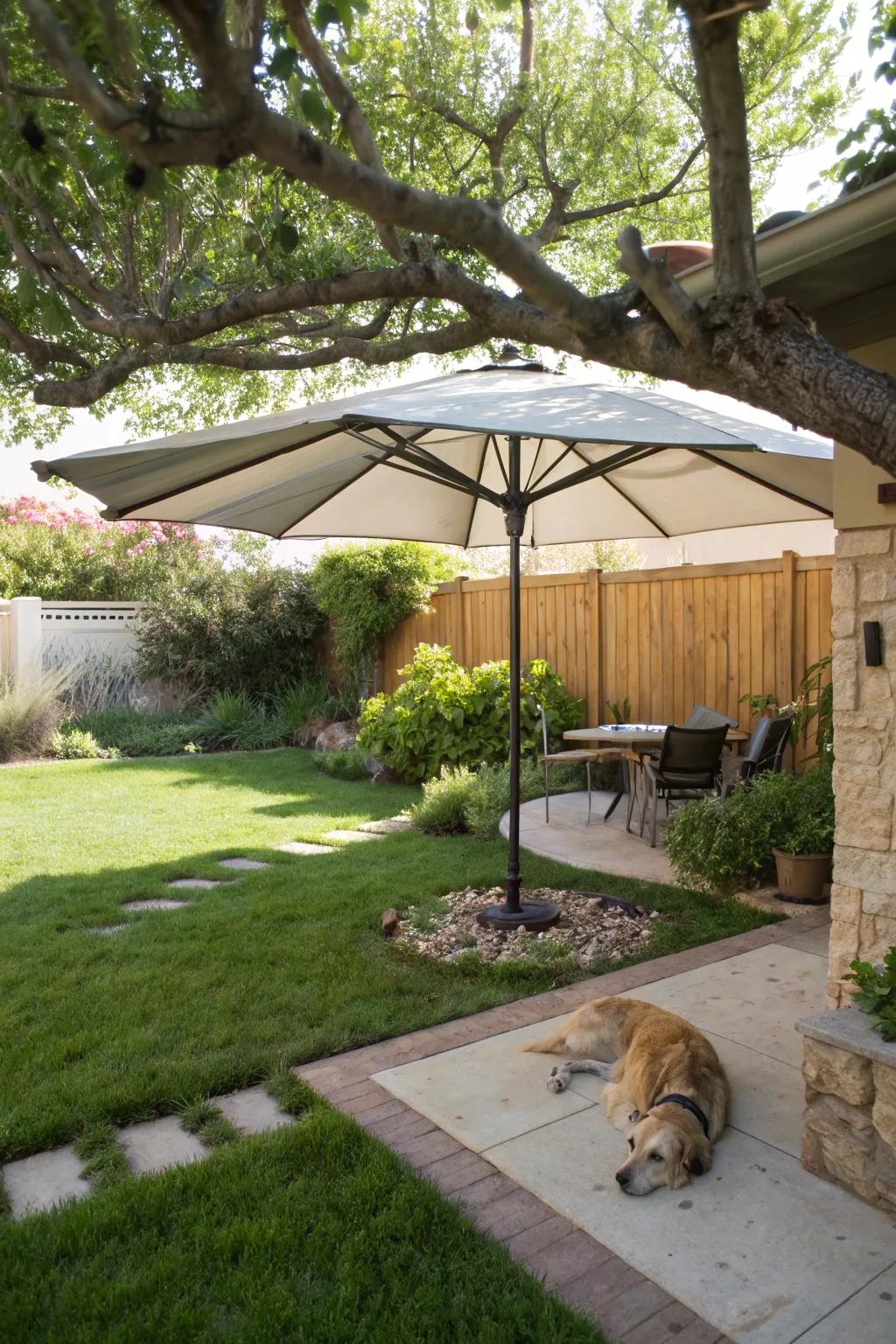 Verify your dog possesses a chill sanctuary via concealed leisure sectors.