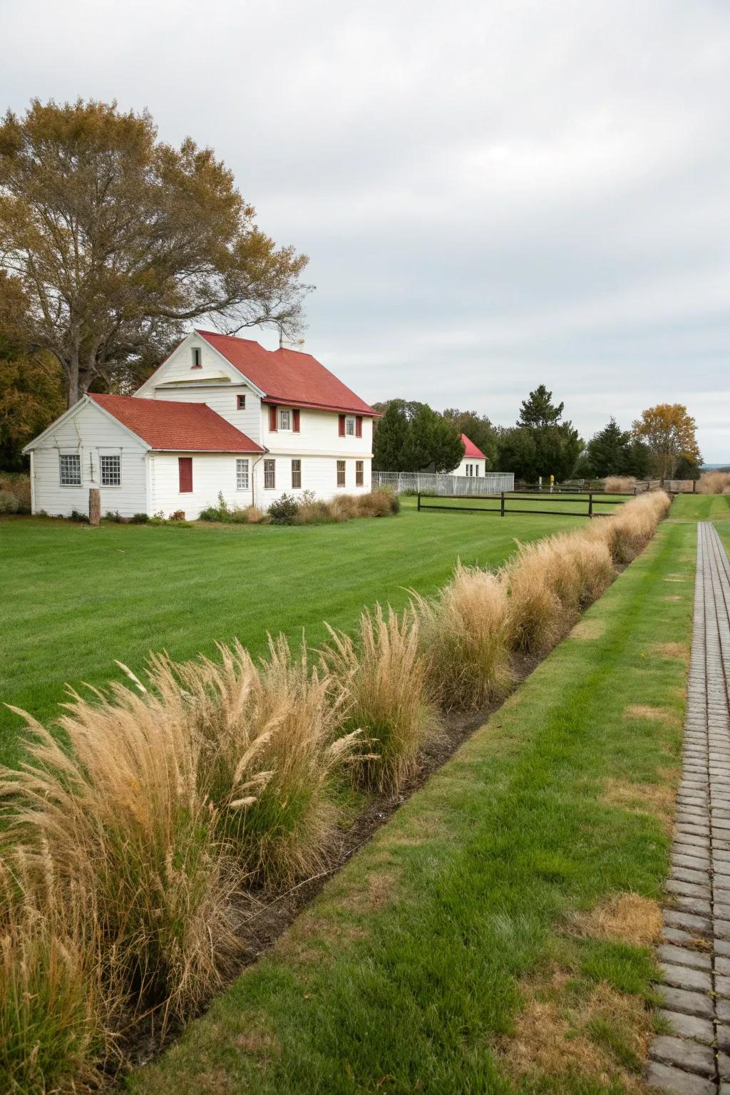 A meticulously maintained lawn showcasing simplicity and sophistication.