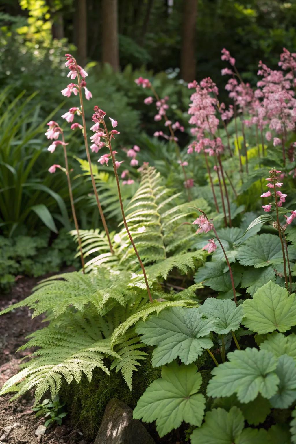 Huecheras and ferns collectively present a lavish and textural spectacle in any garden.