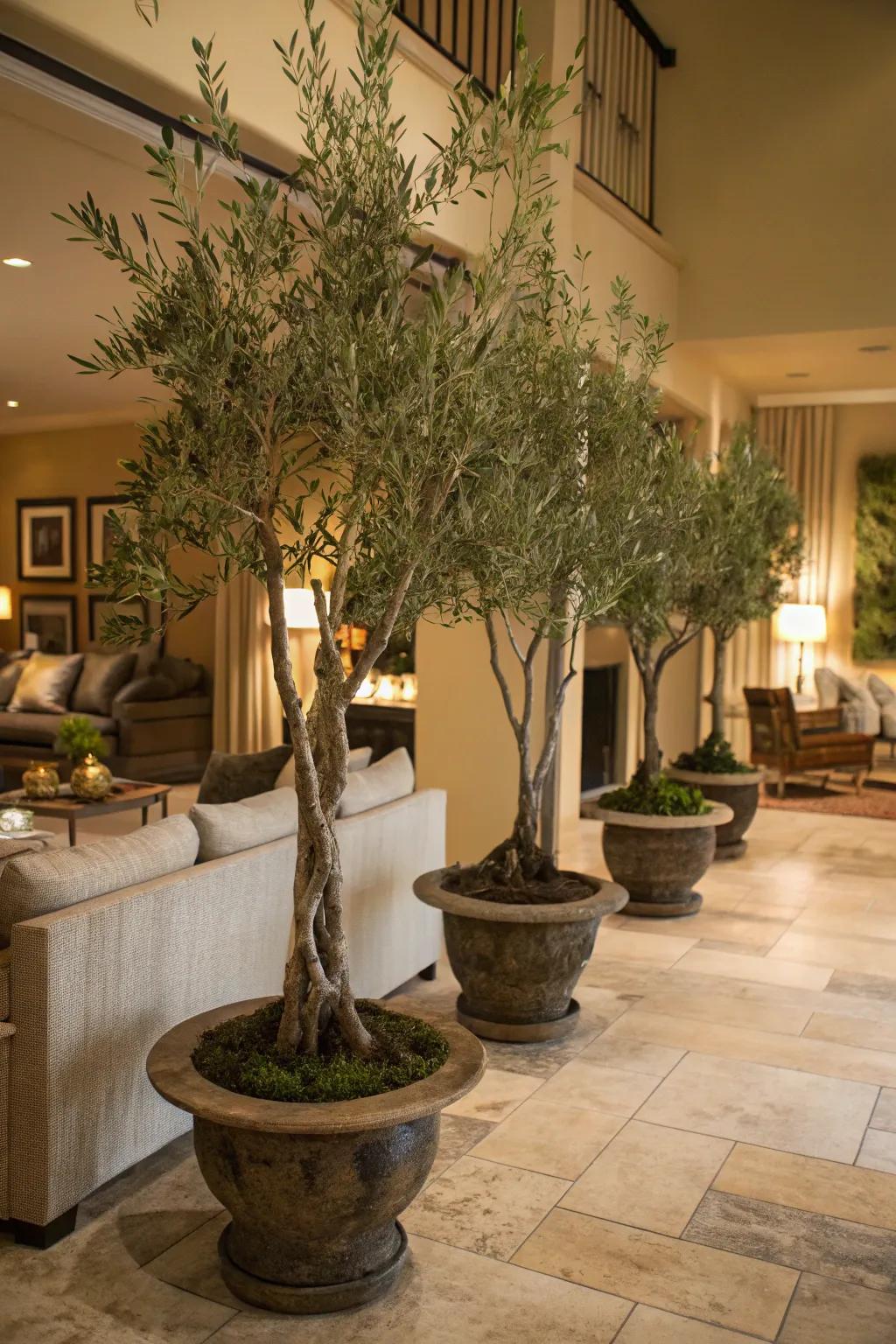 Employ layered heights to refine your decor using faux olive trees.