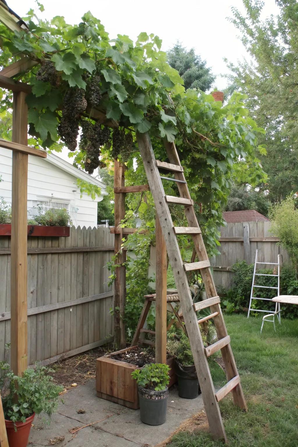 Reused materials can lead to unique and sustainable trellis designs.
