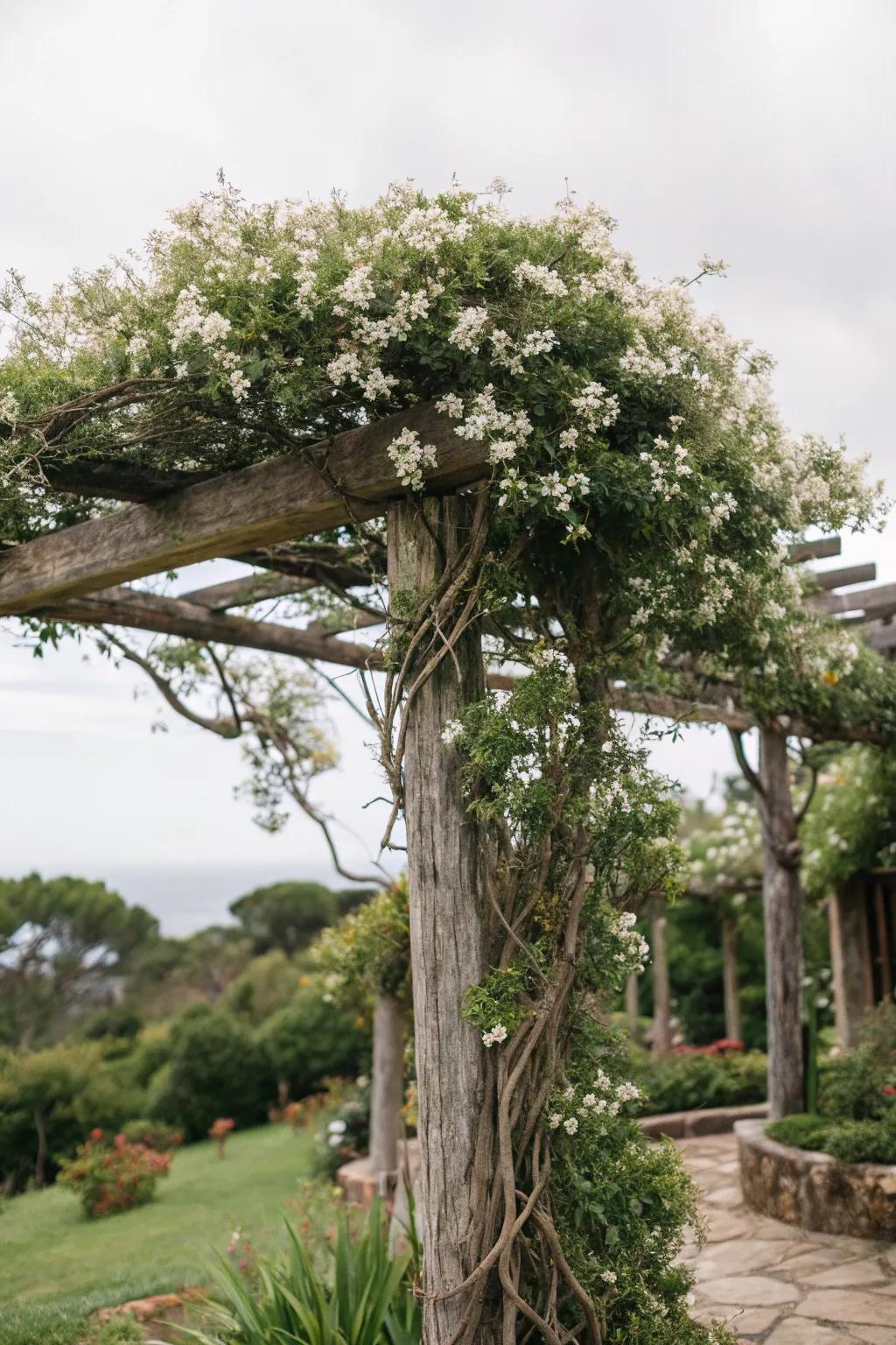 Embrace homespun charm with a limb-crafted snow vine climbing frame.