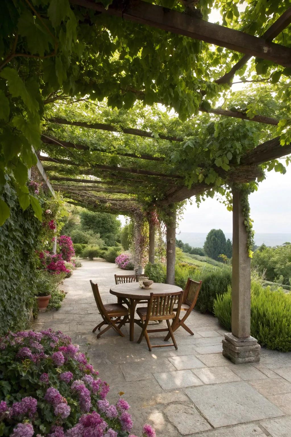 Keep cool with trendy and organic shade solutions.
