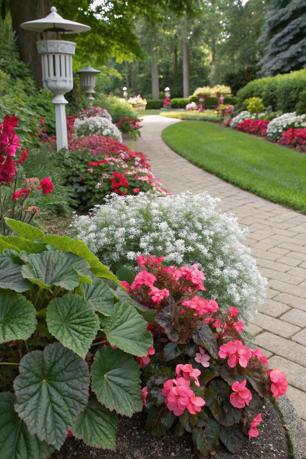 Contrasting textures amplify the splendor of plant blooms.