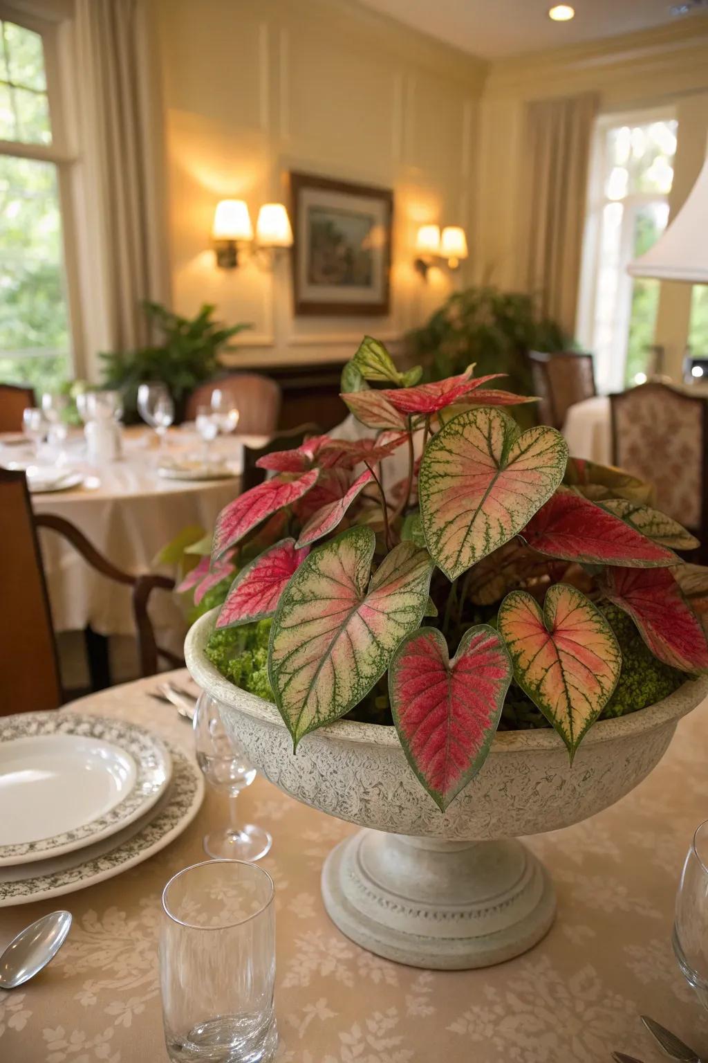A caladium focal point injects refinement into any dining table.