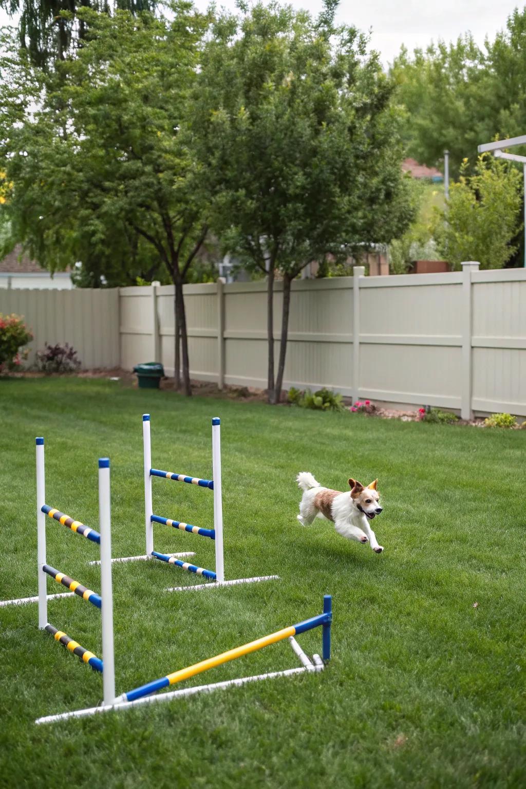 Adaptable hurdles proffer endless merriment and physical activity.