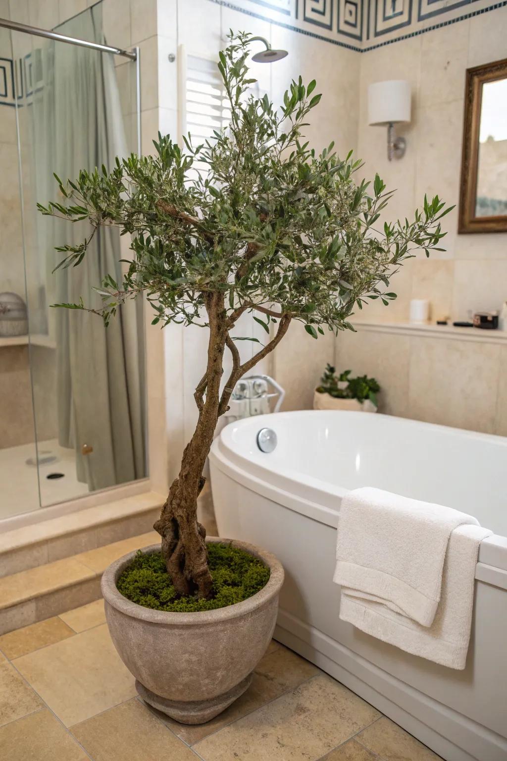 Infuse peace into your bathroom using a faux olive tree.