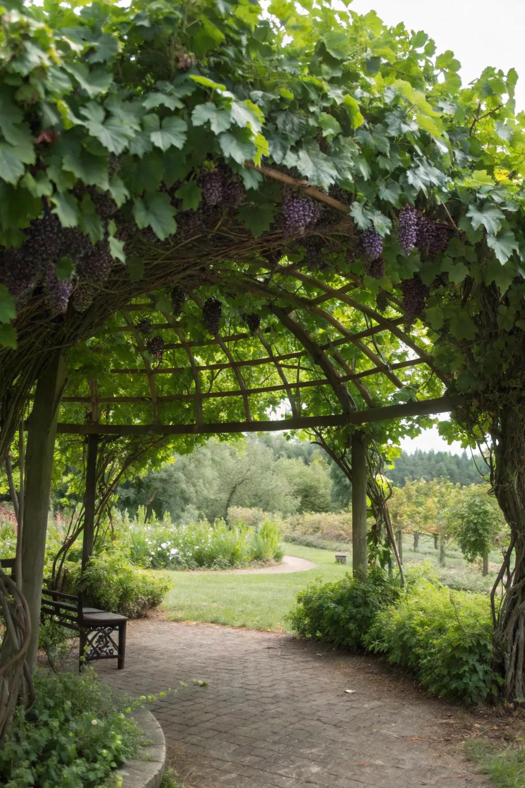 A circular arbor delivers a serene, secluded yard retreat.