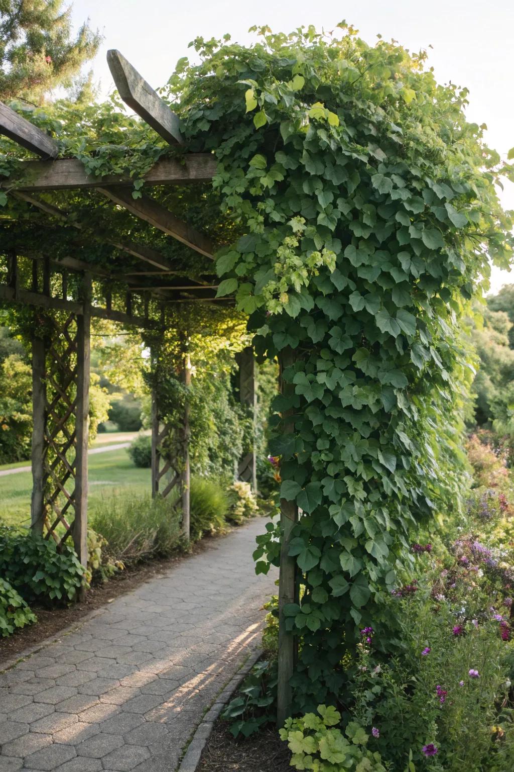 A green wall trellis offers privacy and a lush green backdrop.