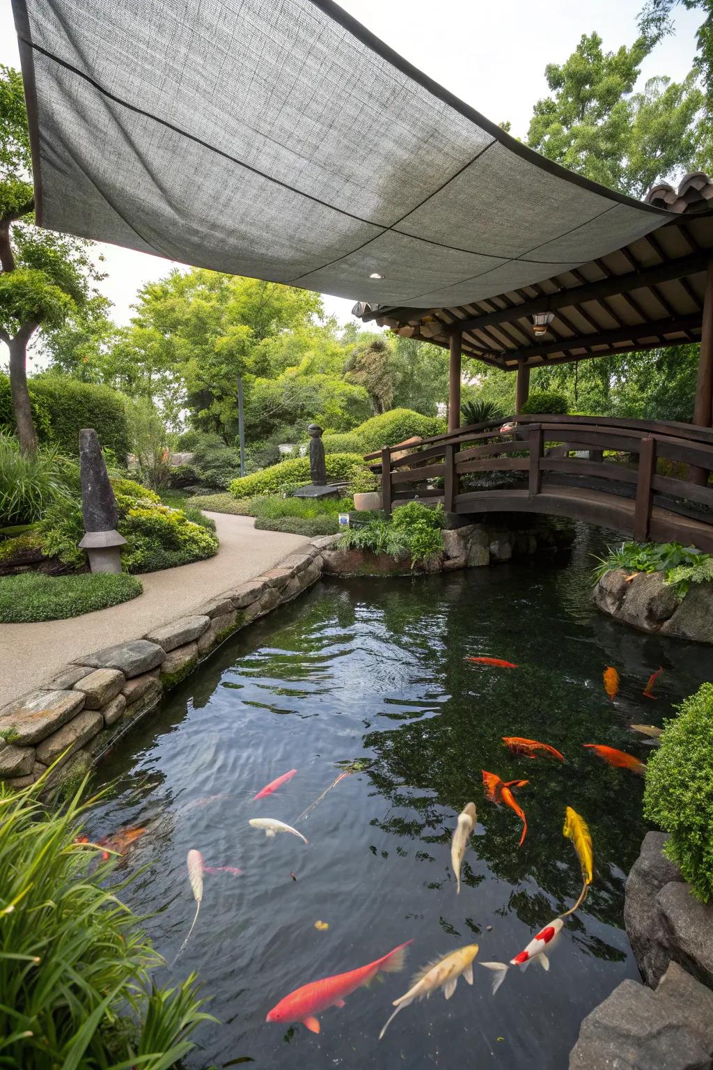 A DIY tarpaulin shade provides a budget-friendly cover for a koi pond.